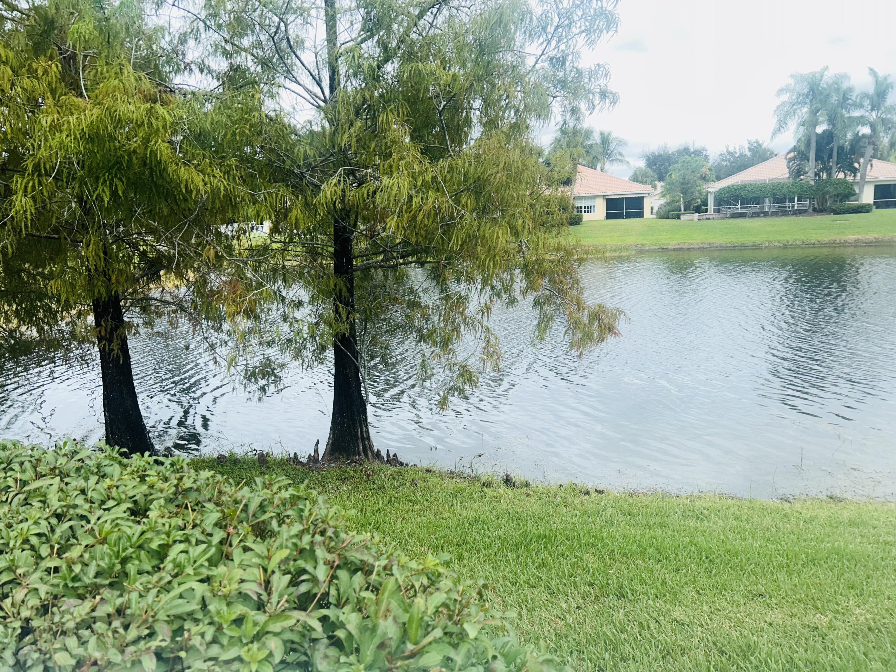 MLS #RX-11144567 image #50