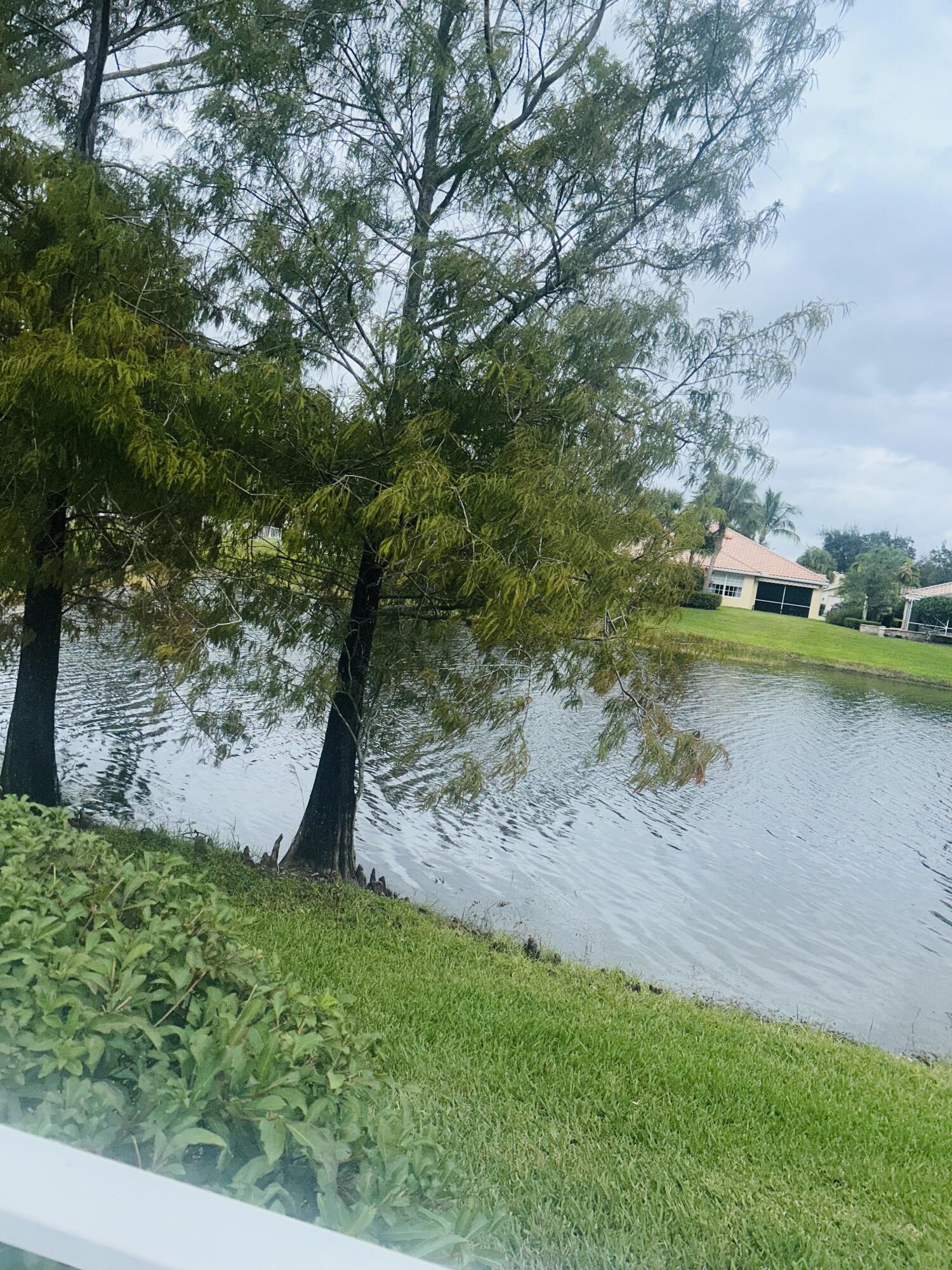 MLS #RX-11144567 image #51