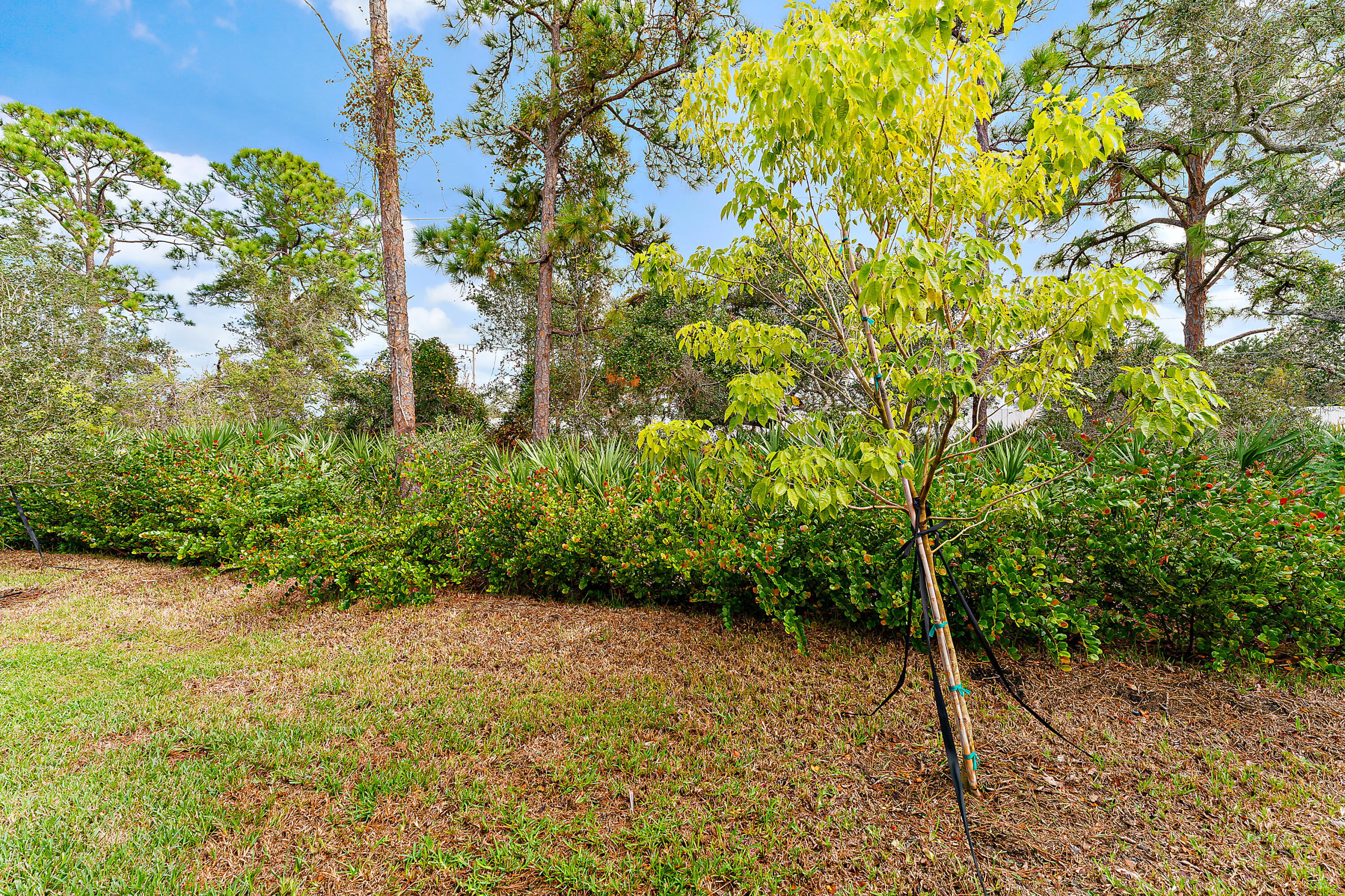 MLS #RX-11144674 image #49