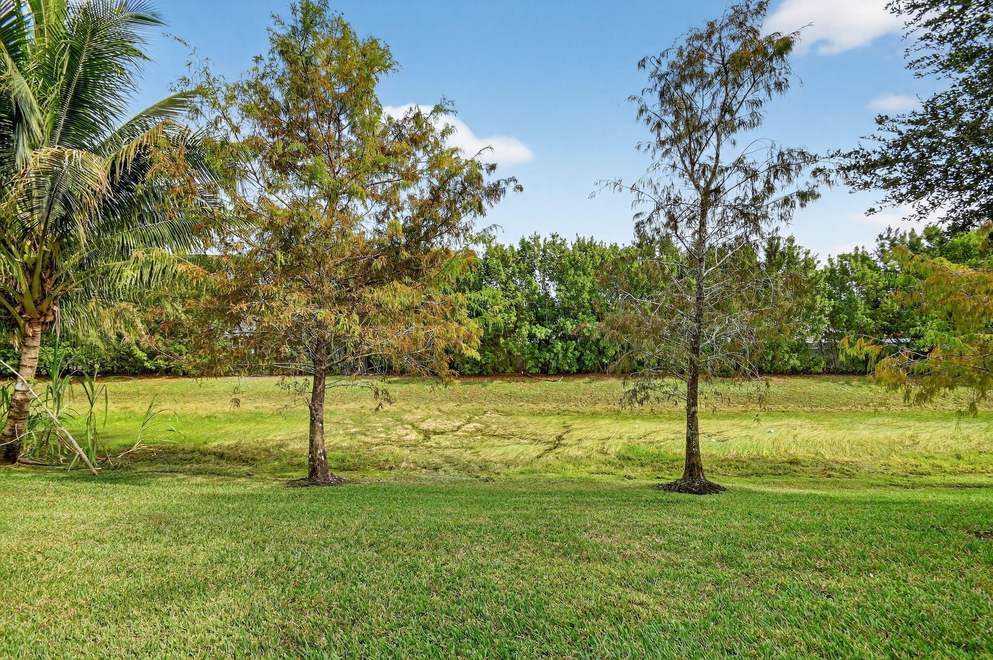 MLS #RX-11144700 image #52