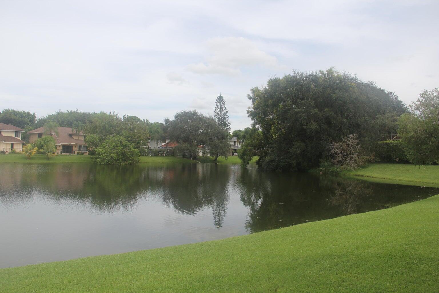 MLS #RX-11144729 image #9