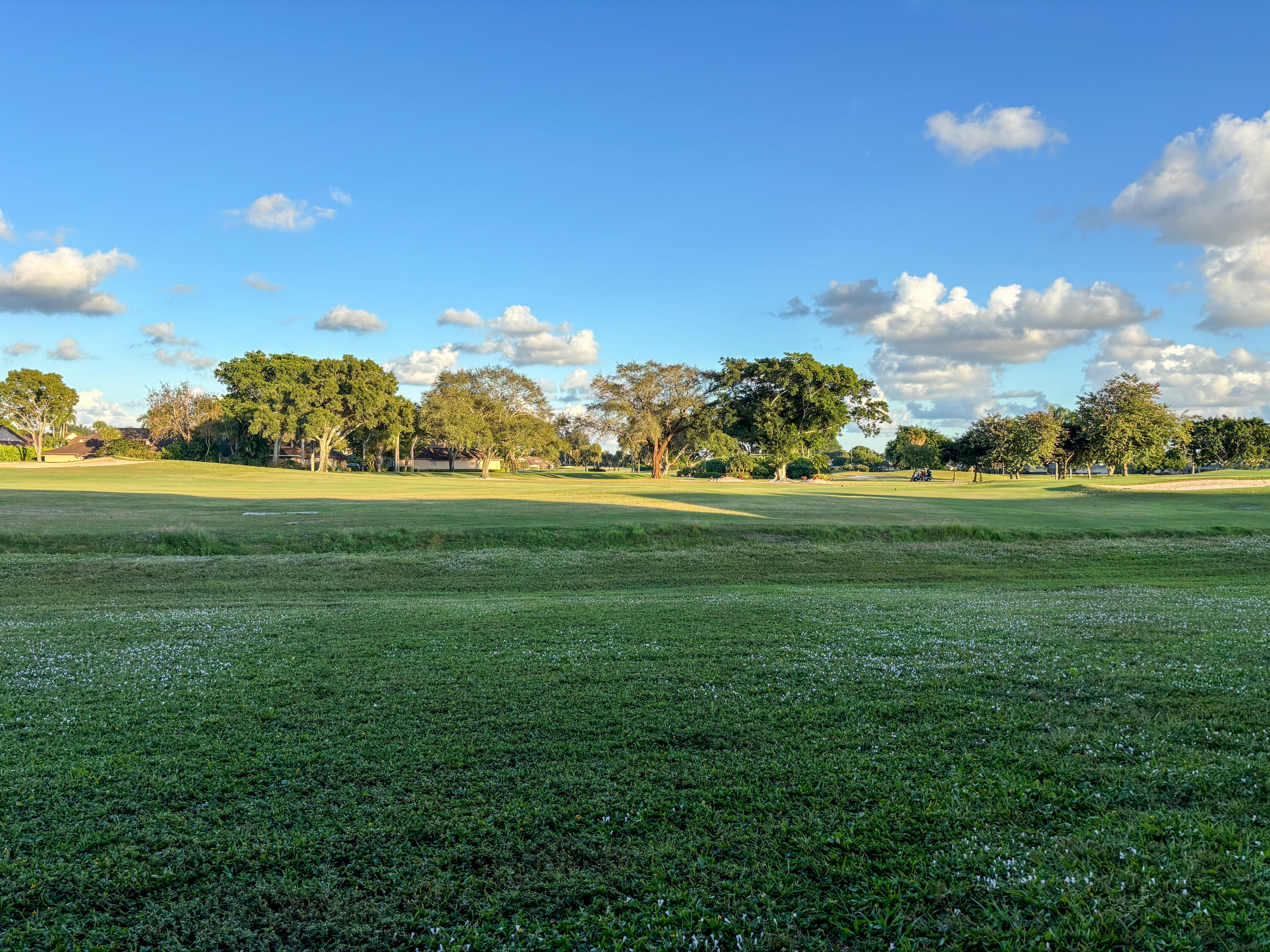 MLS #RX-11144799 image #45