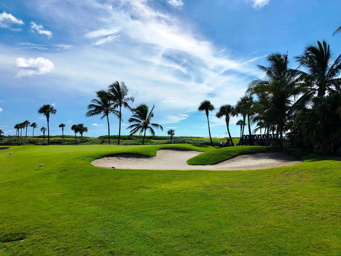 MLS #RX-11144949 image #31