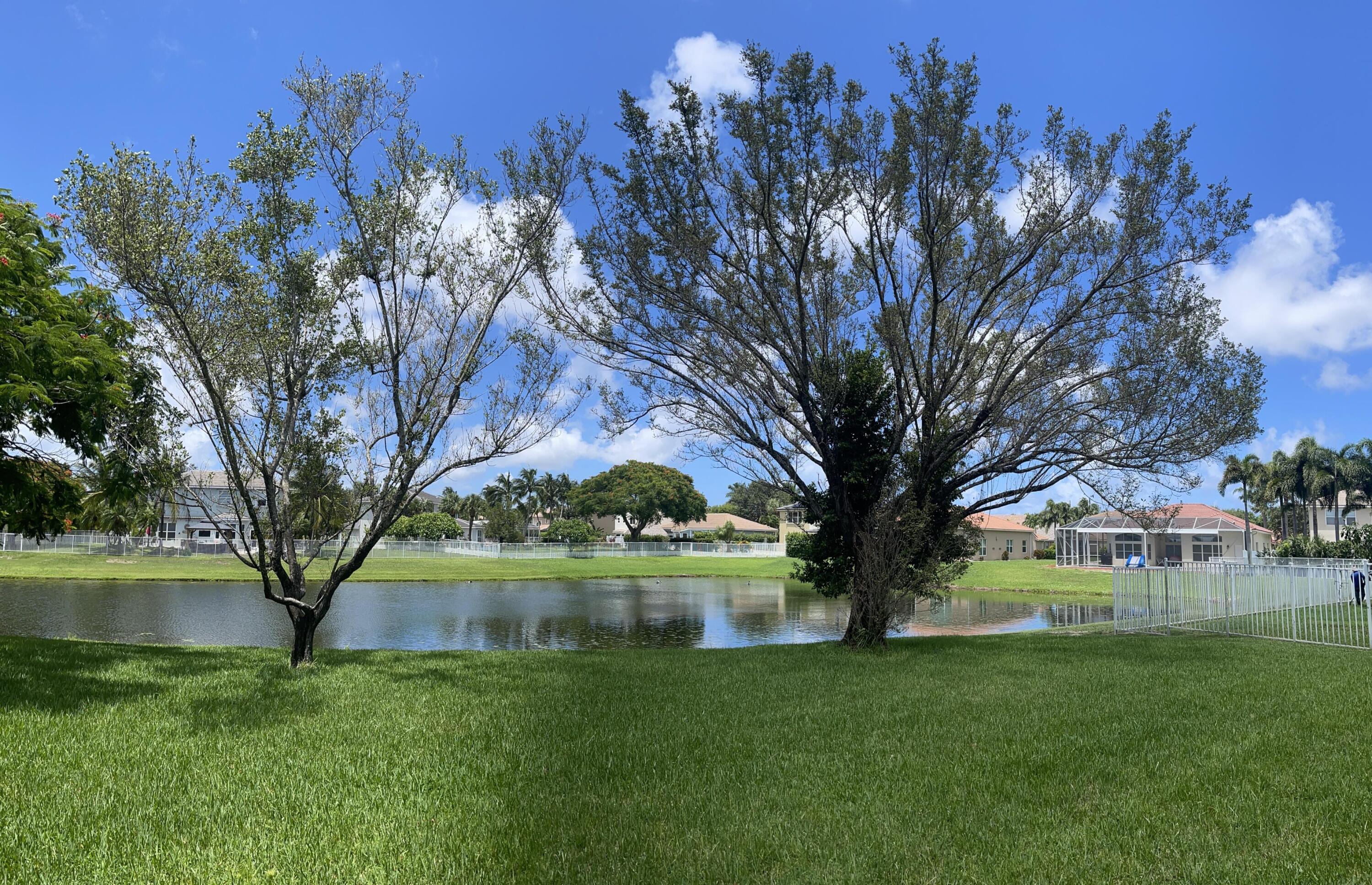 MLS #RX-11145002 image #10