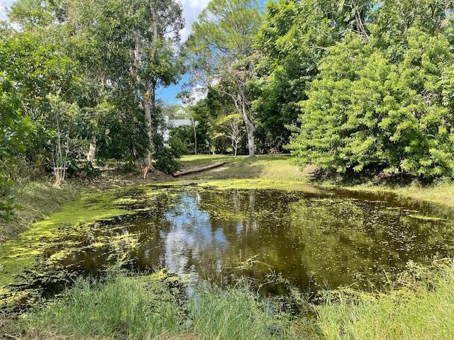 MLS #RX-11145012 image #38