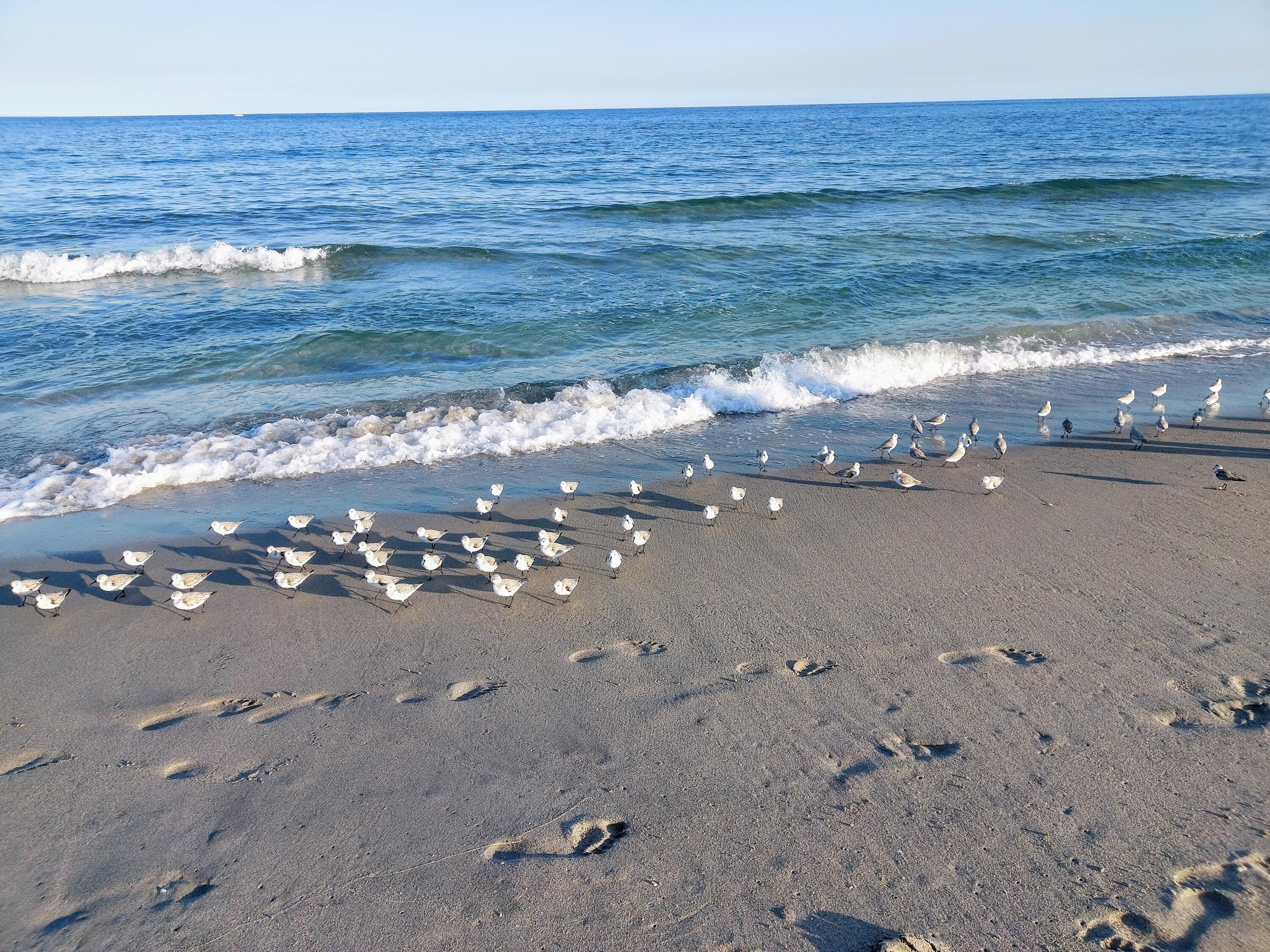 MLS #RX-11145066 image #22