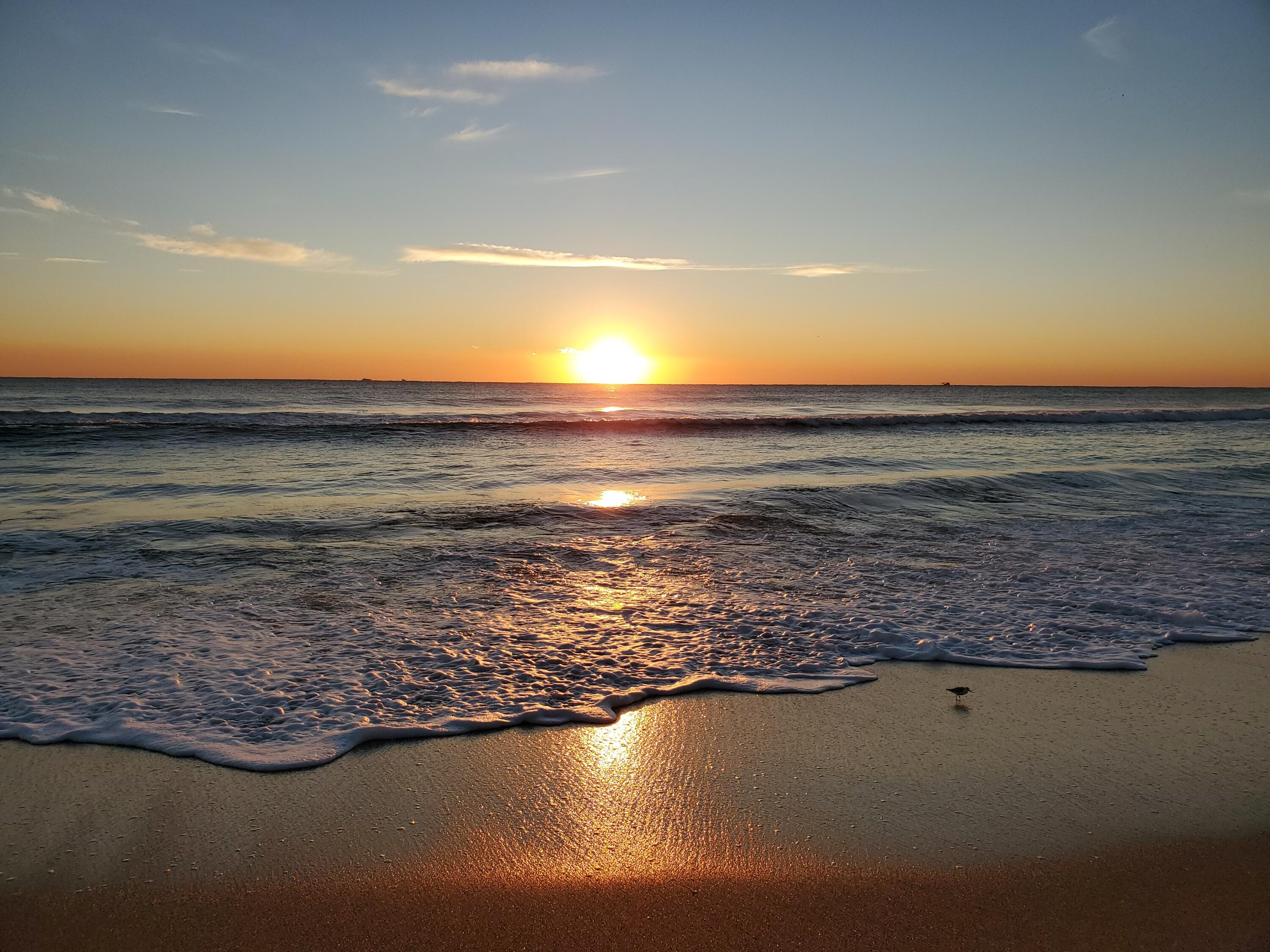 MLS #RX-11145066 image #23