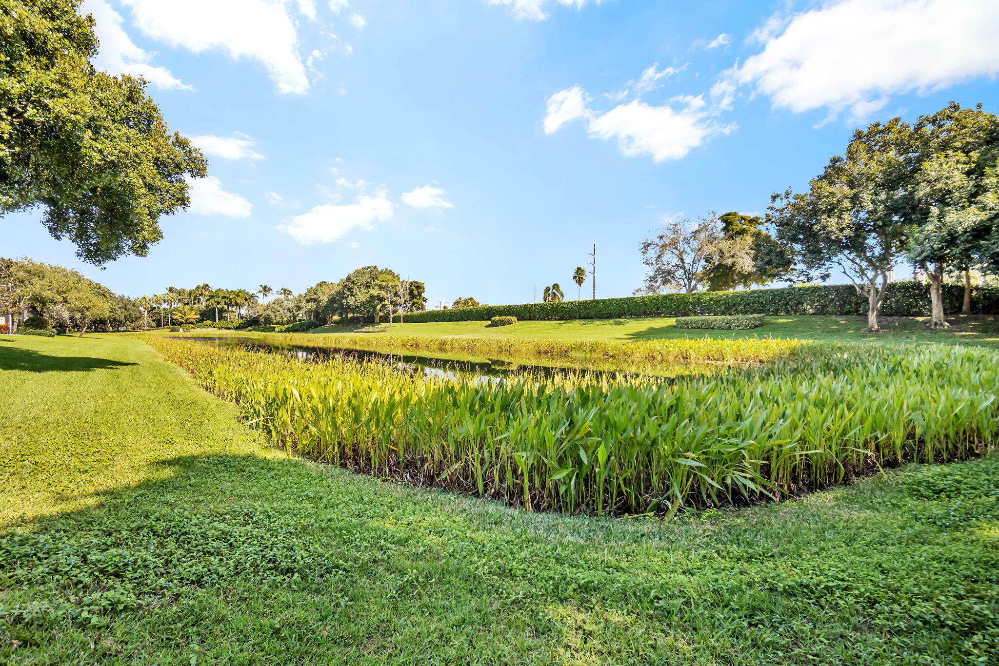 MLS #RX-10720288 image #23