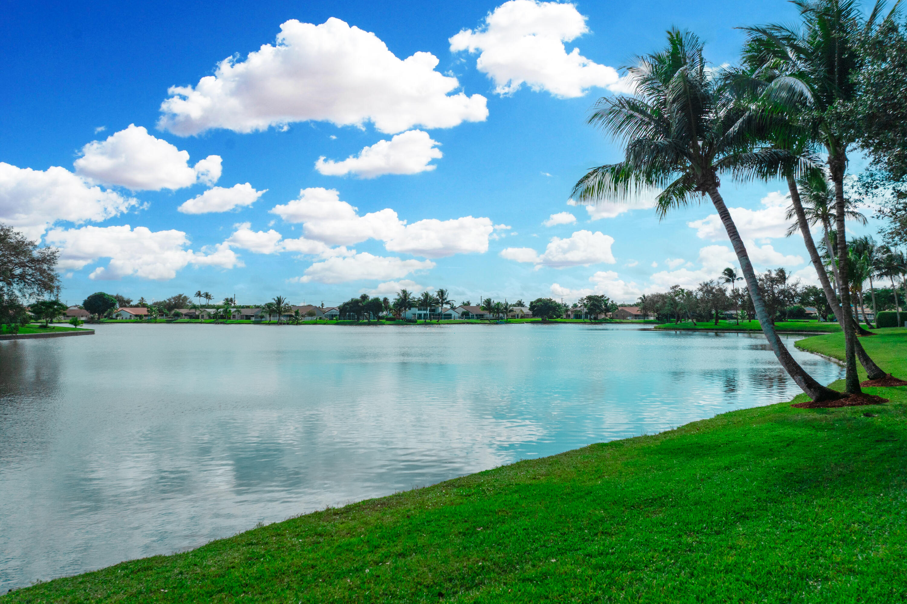 MLS #RX-11145208 image #4