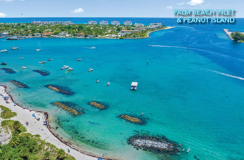 MLS #RX-11145243 image #49