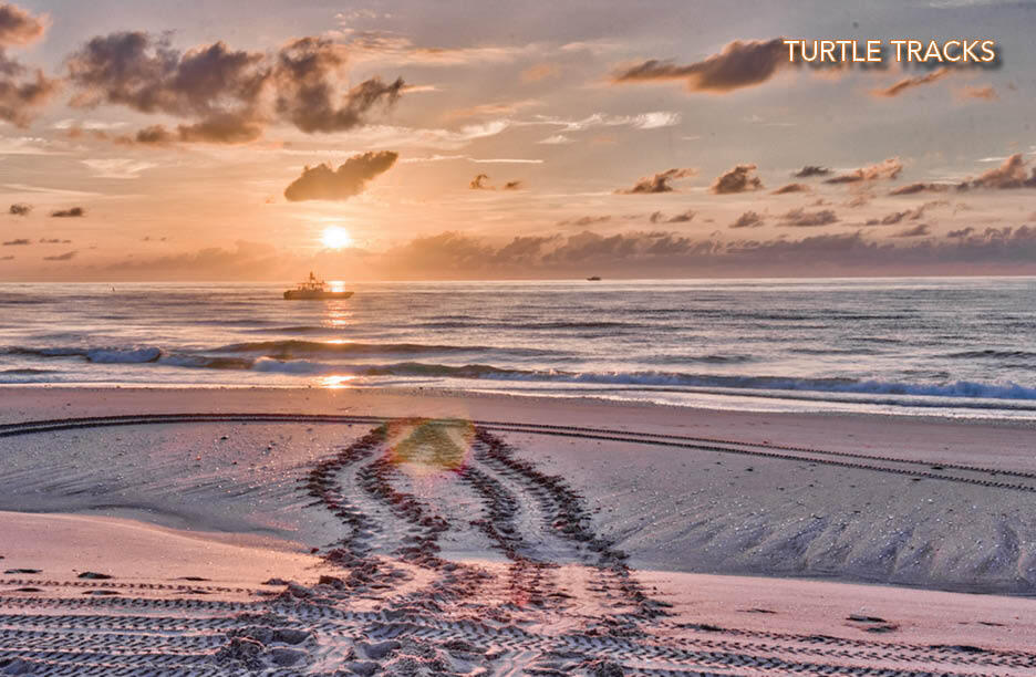 MLS #RX-11145243 image #51