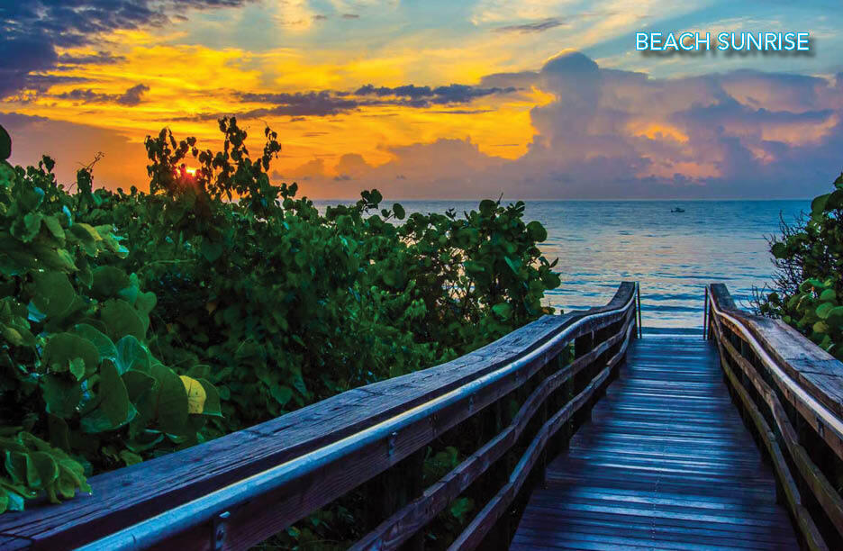 MLS #RX-11145243 image #53