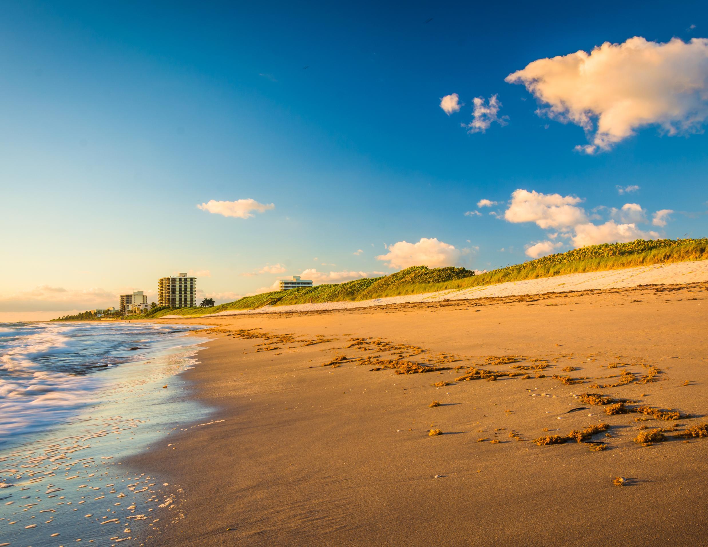 MLS #RX-11145243 image #57