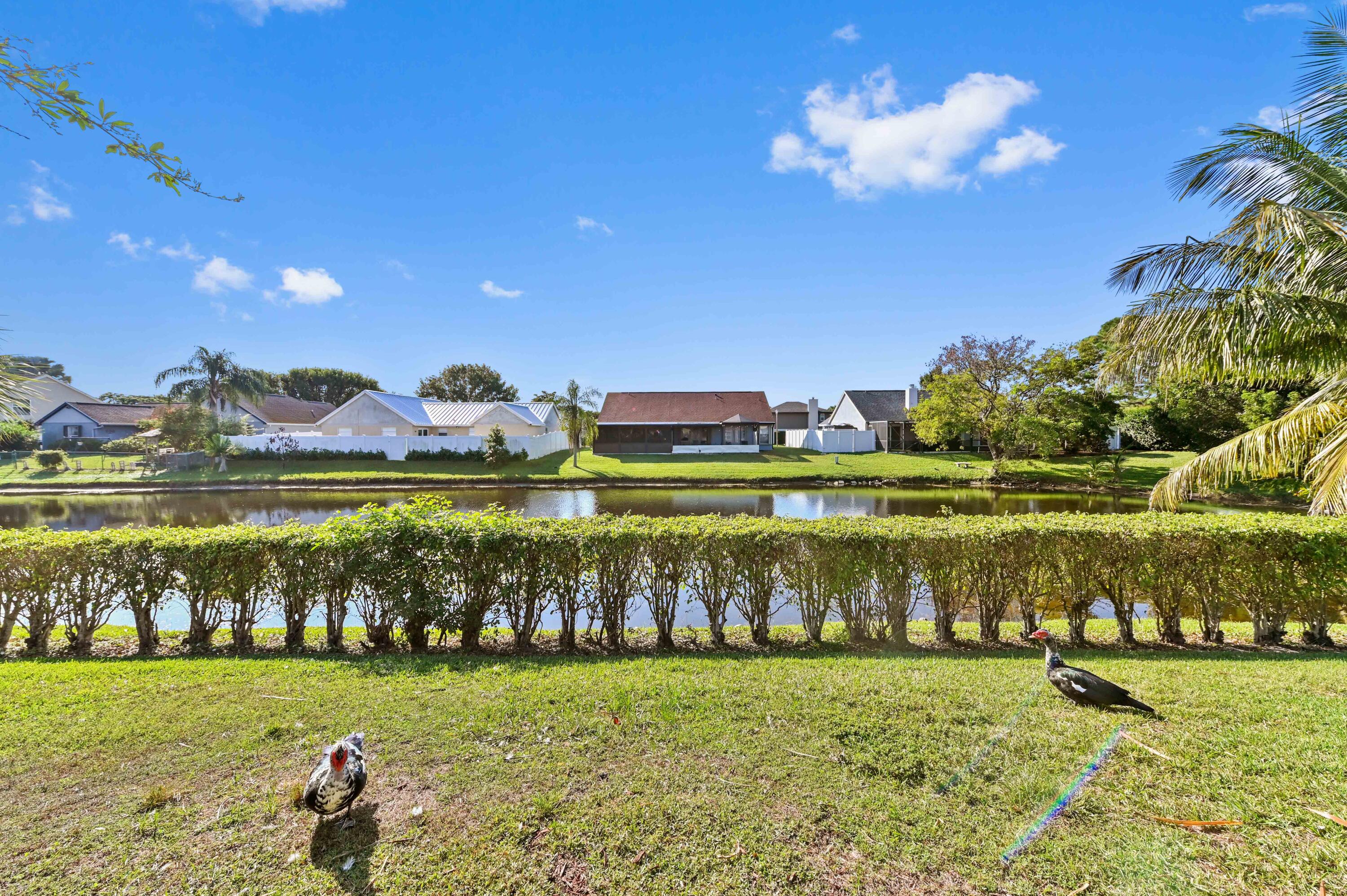 MLS #RX-11145248 image #29