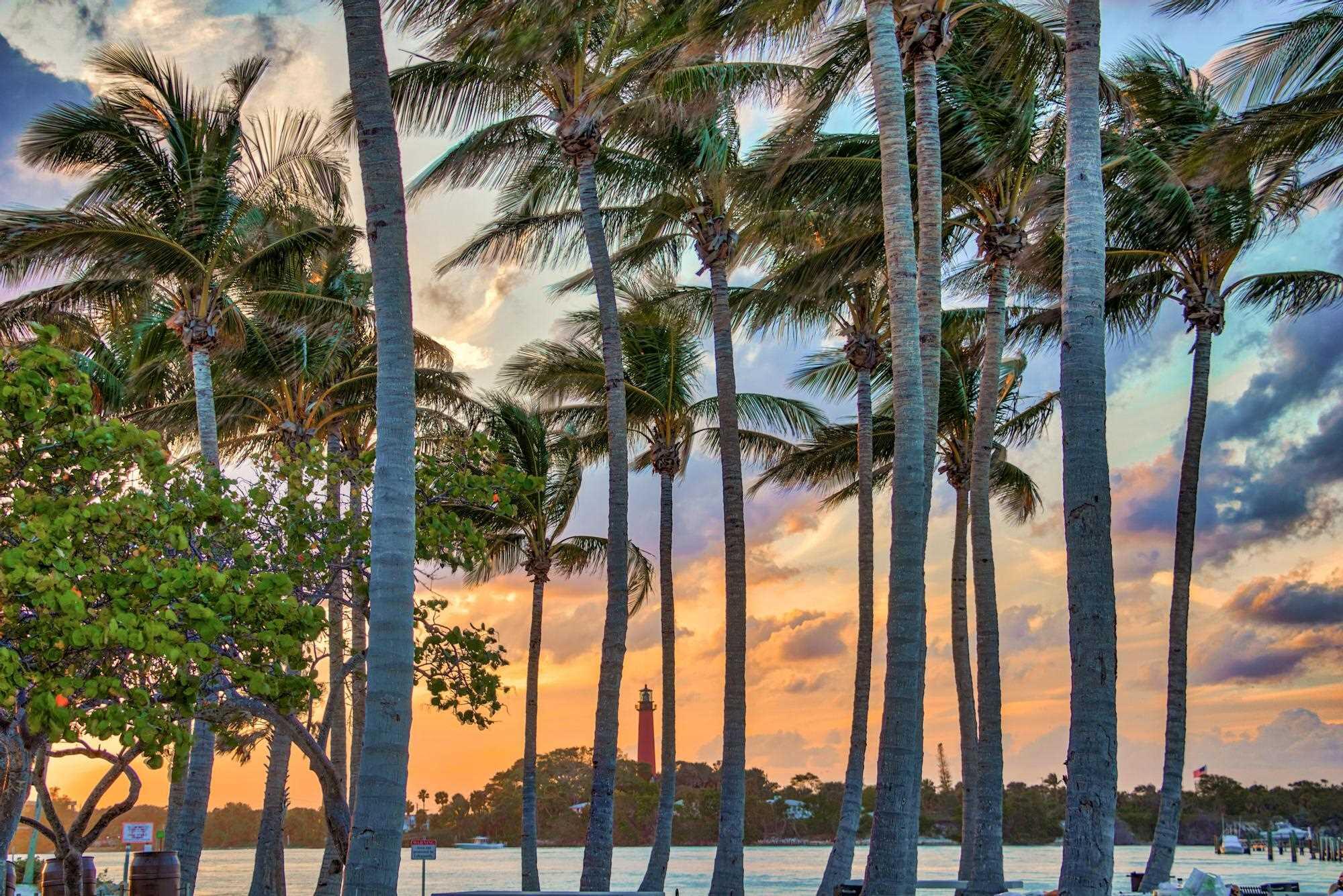 MLS #RX-11145290 image #36