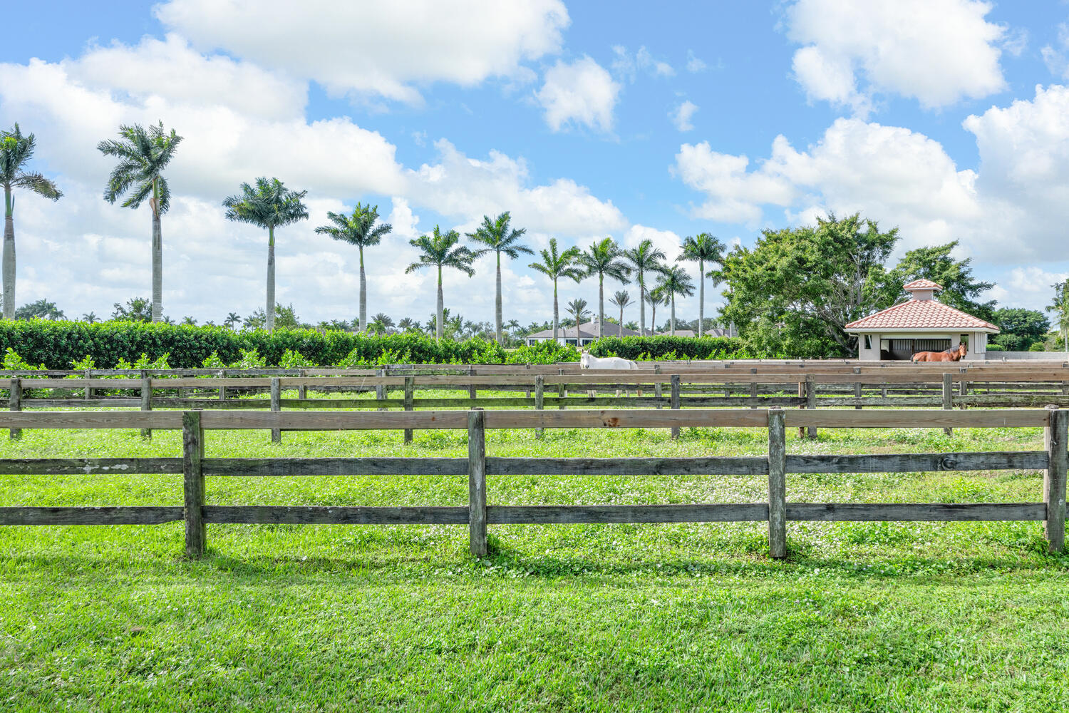 MLS #RX-11145296 image #23