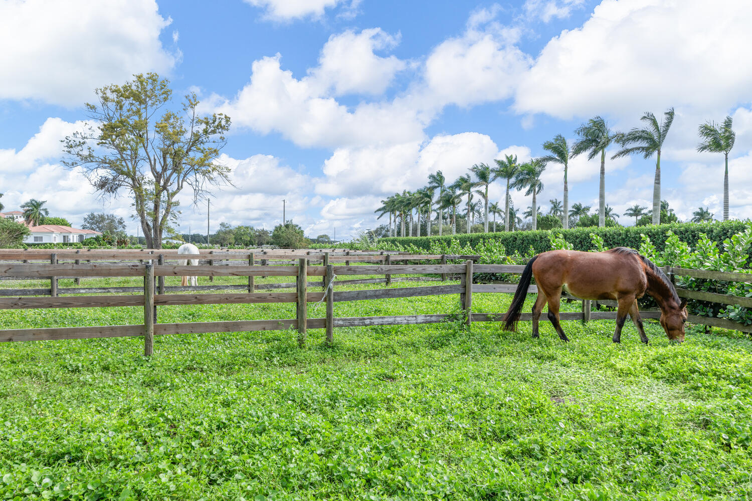 MLS #RX-11145296 image #28