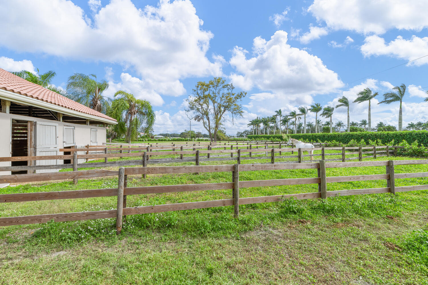 MLS #RX-11145296 image #30