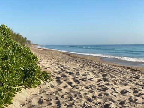 MLS #RX-11145355 image #4