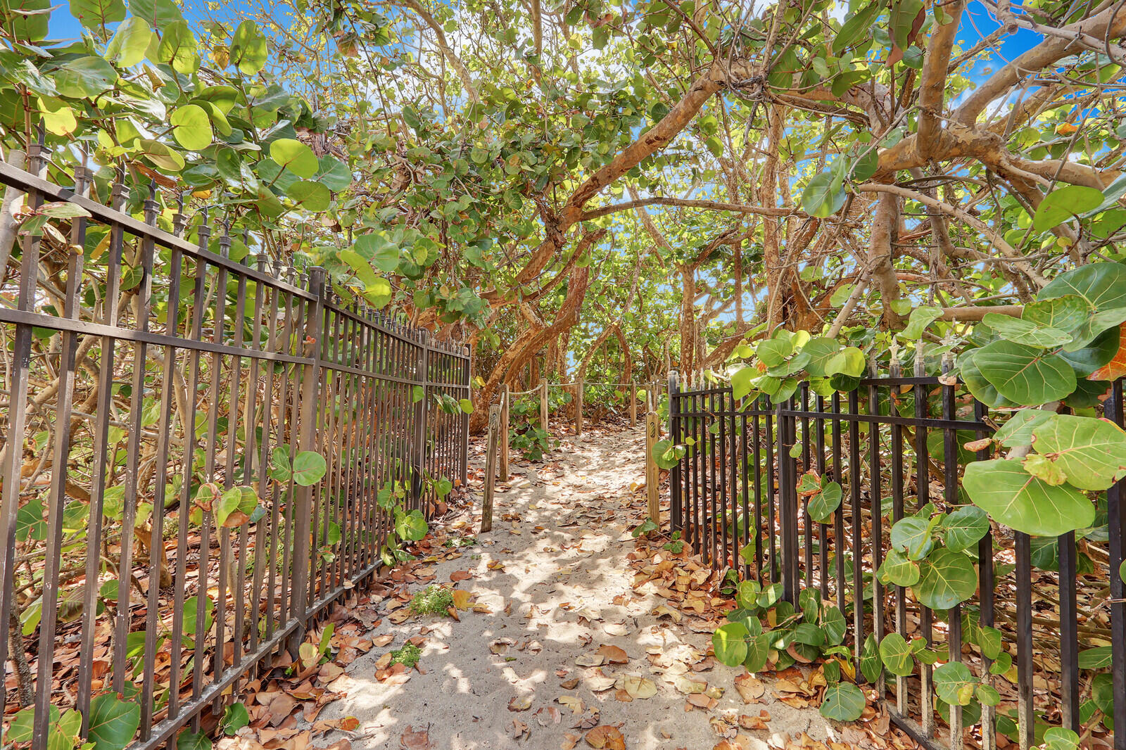 MLS #RX-11145355 image #46