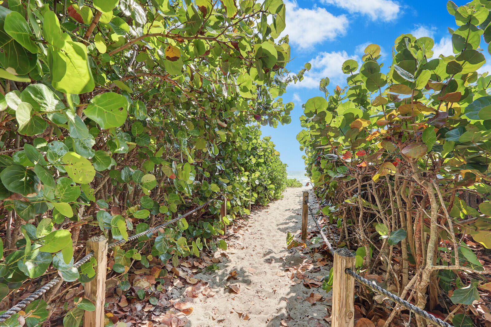 MLS #RX-11145355 image #47