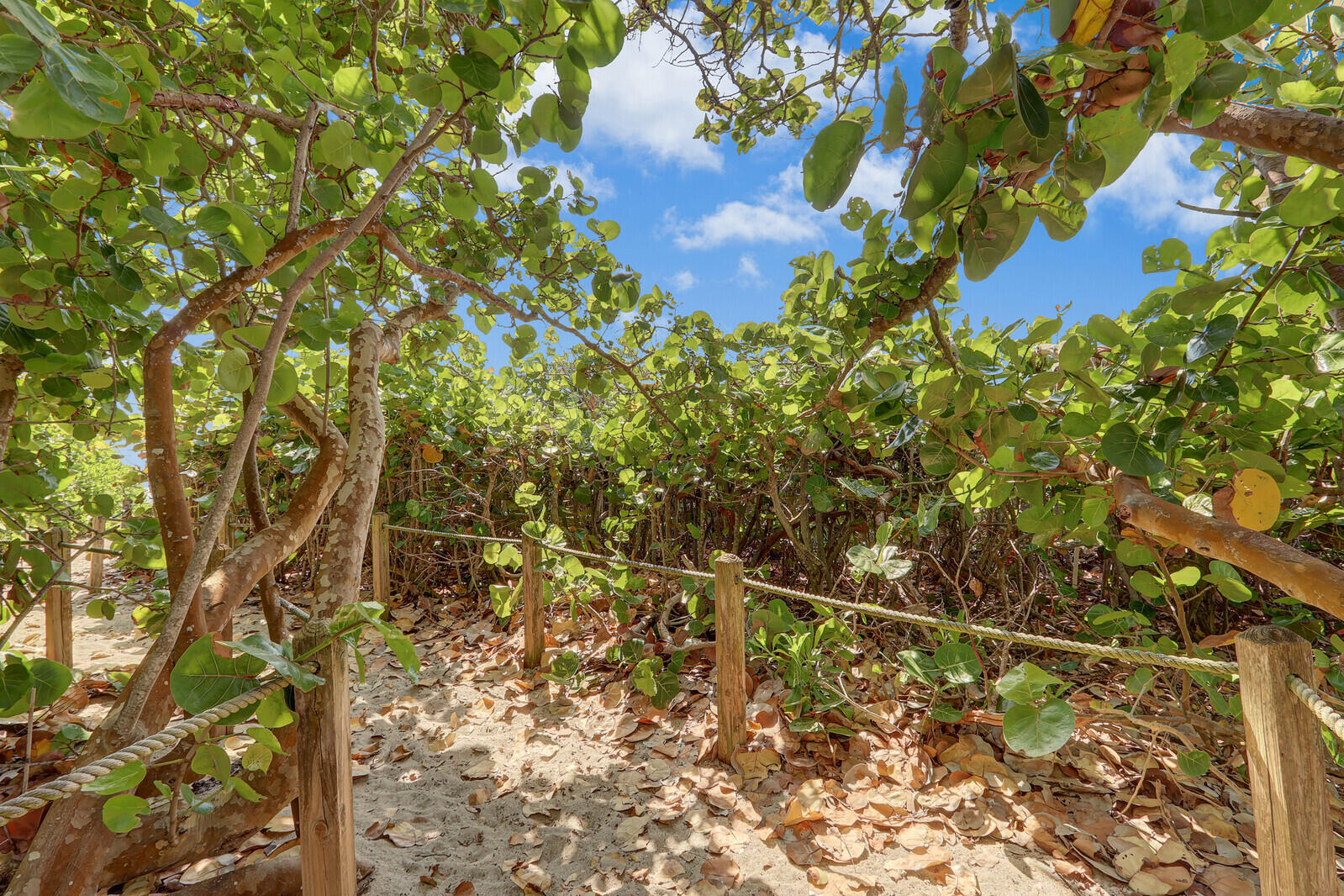 MLS #RX-11145355 image #49