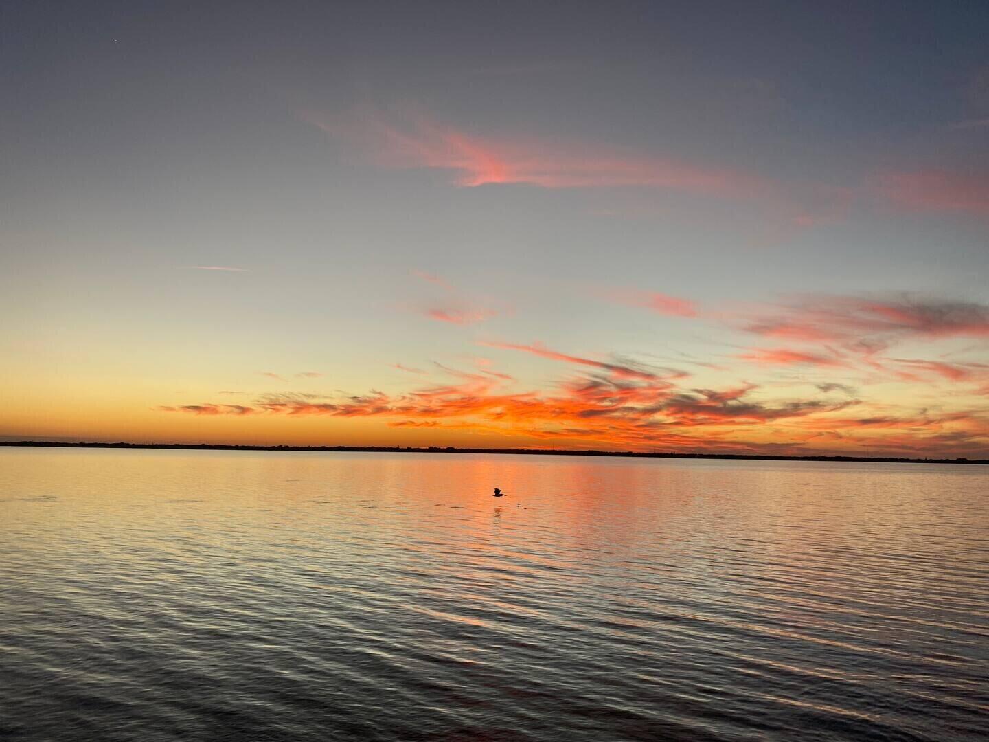 MLS #RX-11145355 image #56