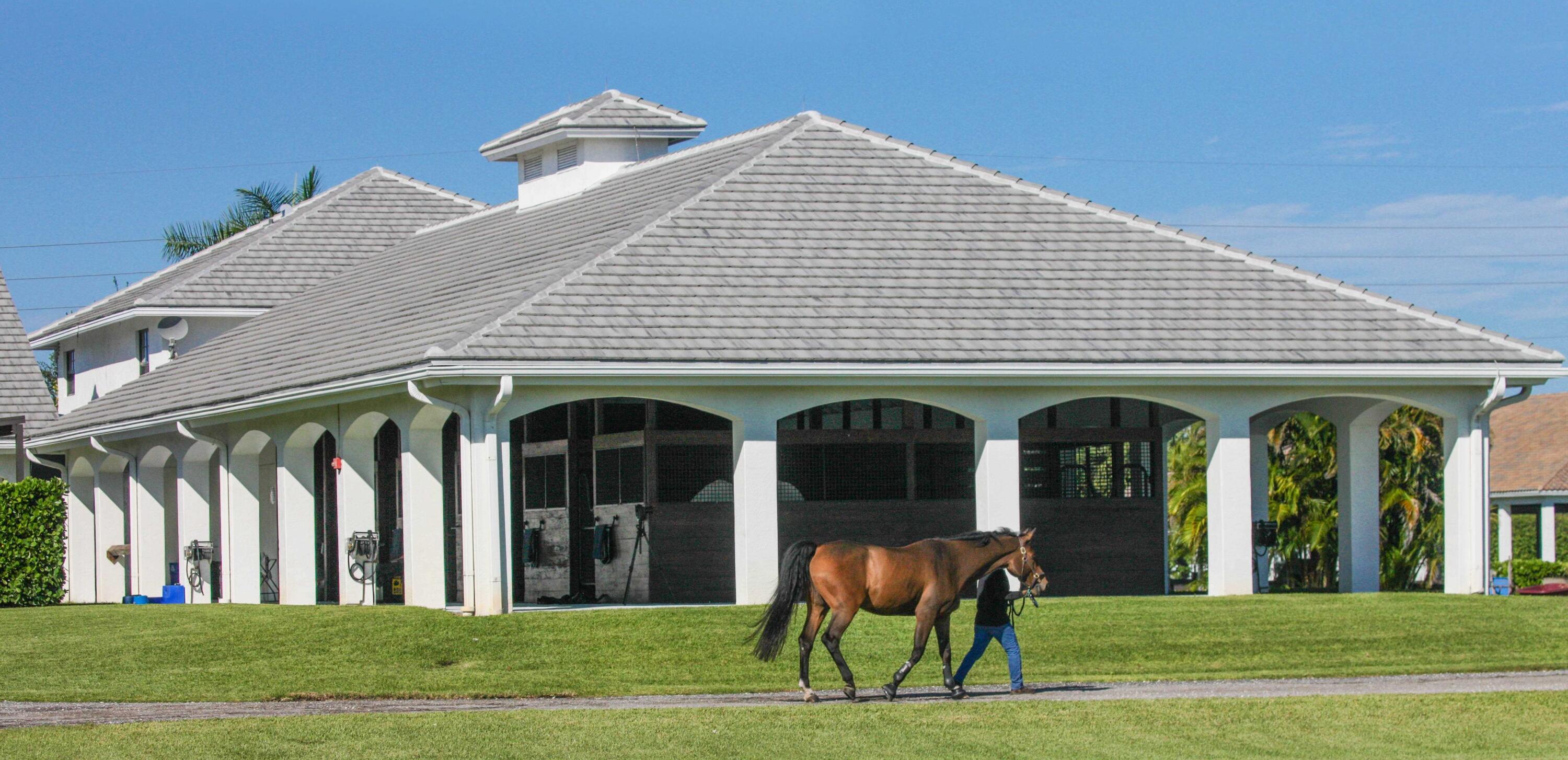 MLS #RX-11145406 image #2