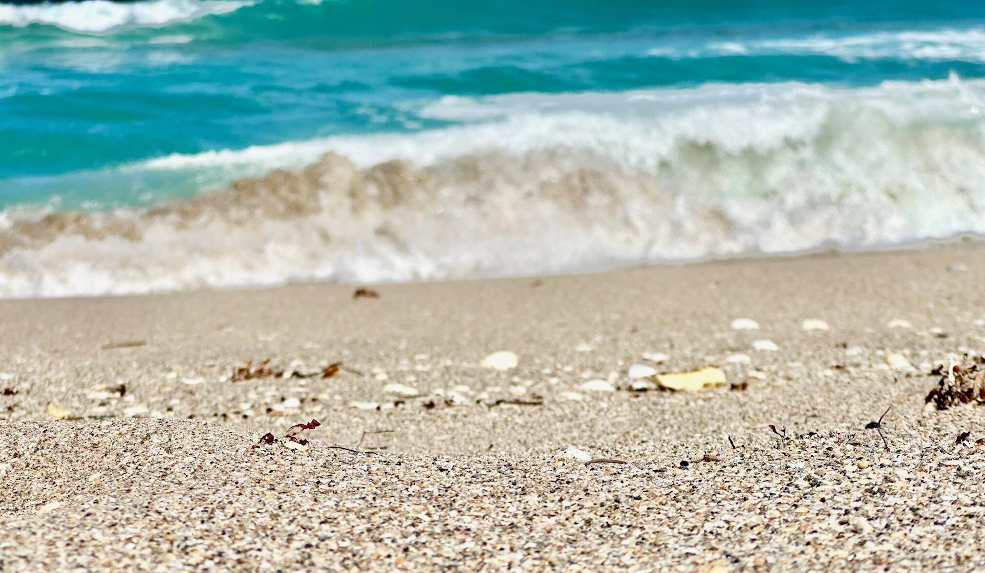 MLS #RX-11145412 image #18