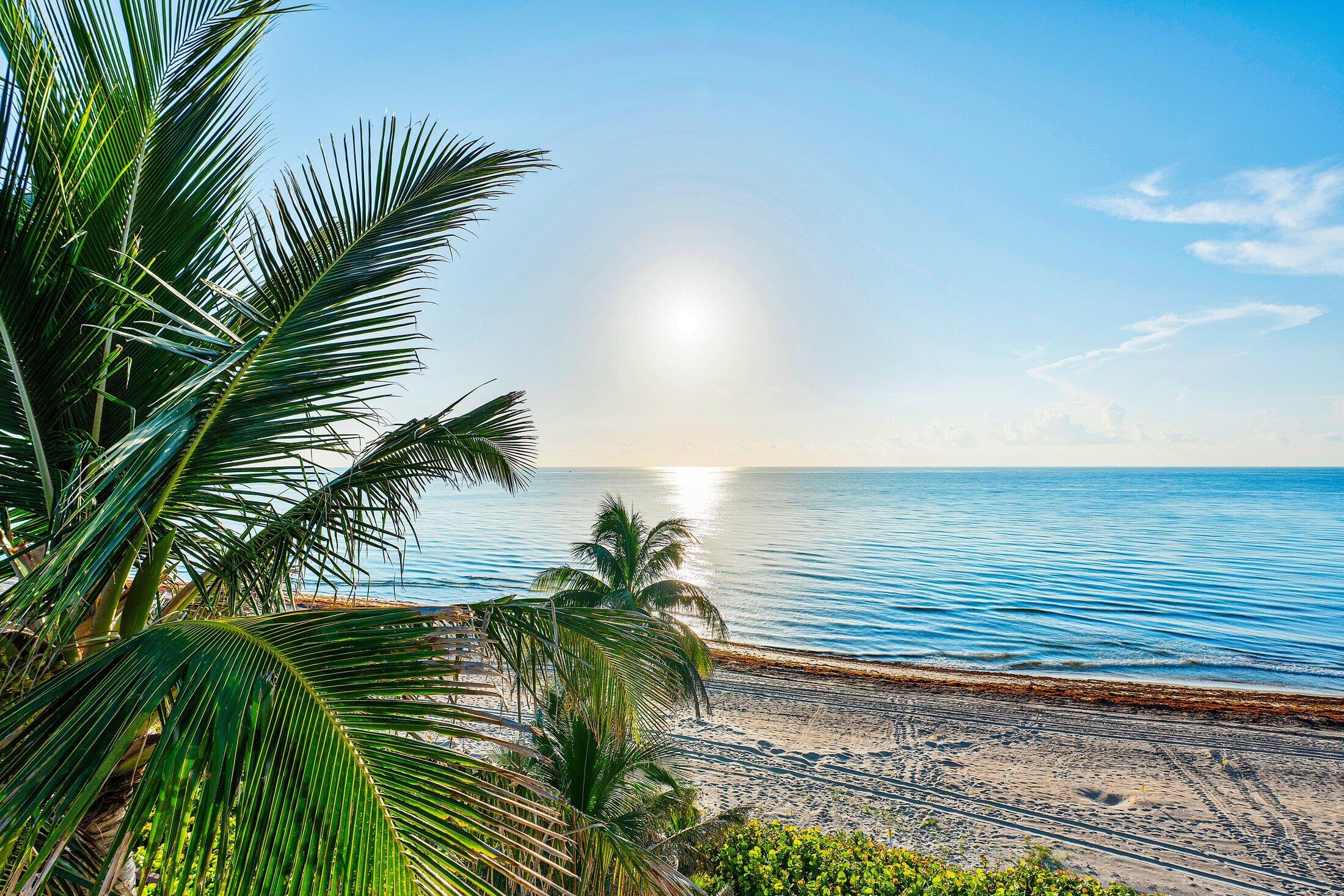 MLS #RX-11145498 image #19