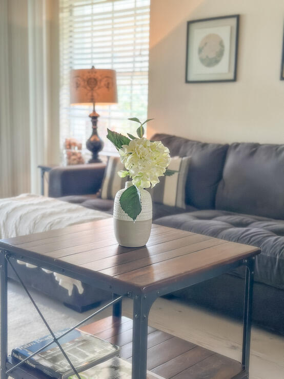 MLS #RX-11145530 image #8