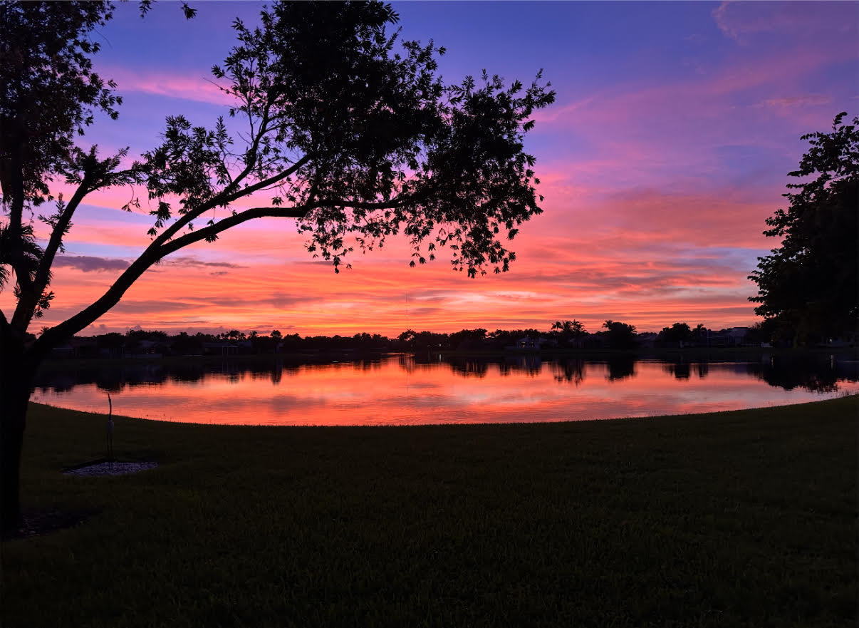 MLS #RX-11145540 image #48