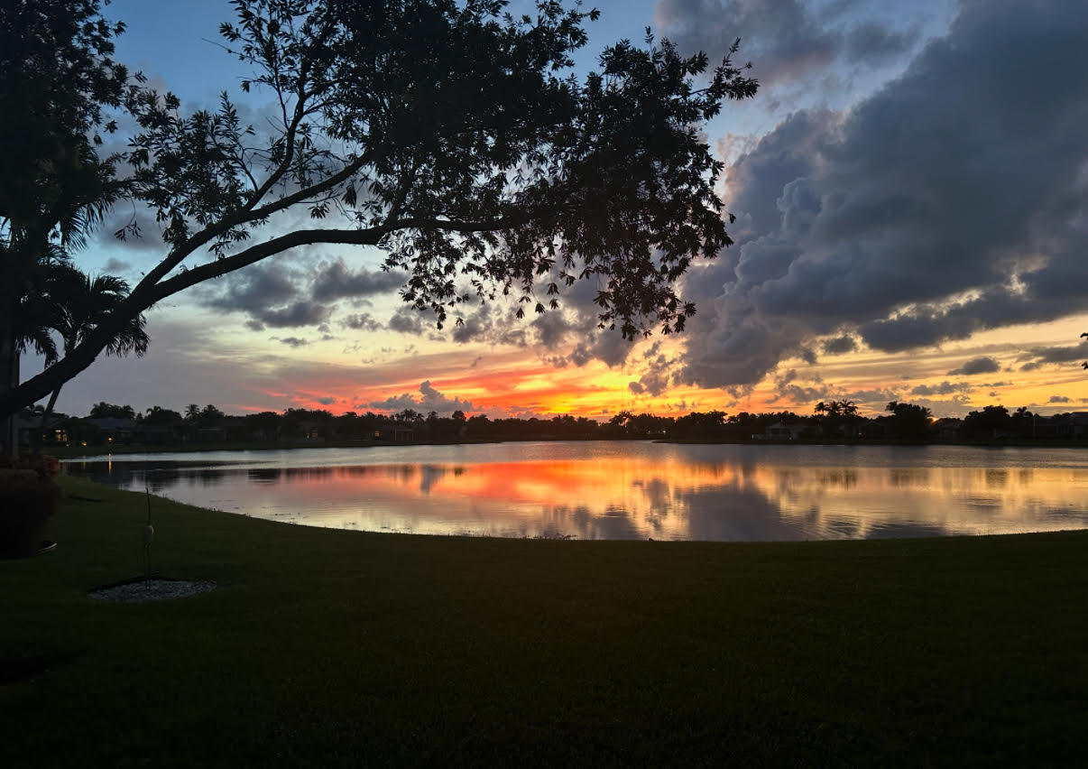 MLS #RX-11145540 image #49