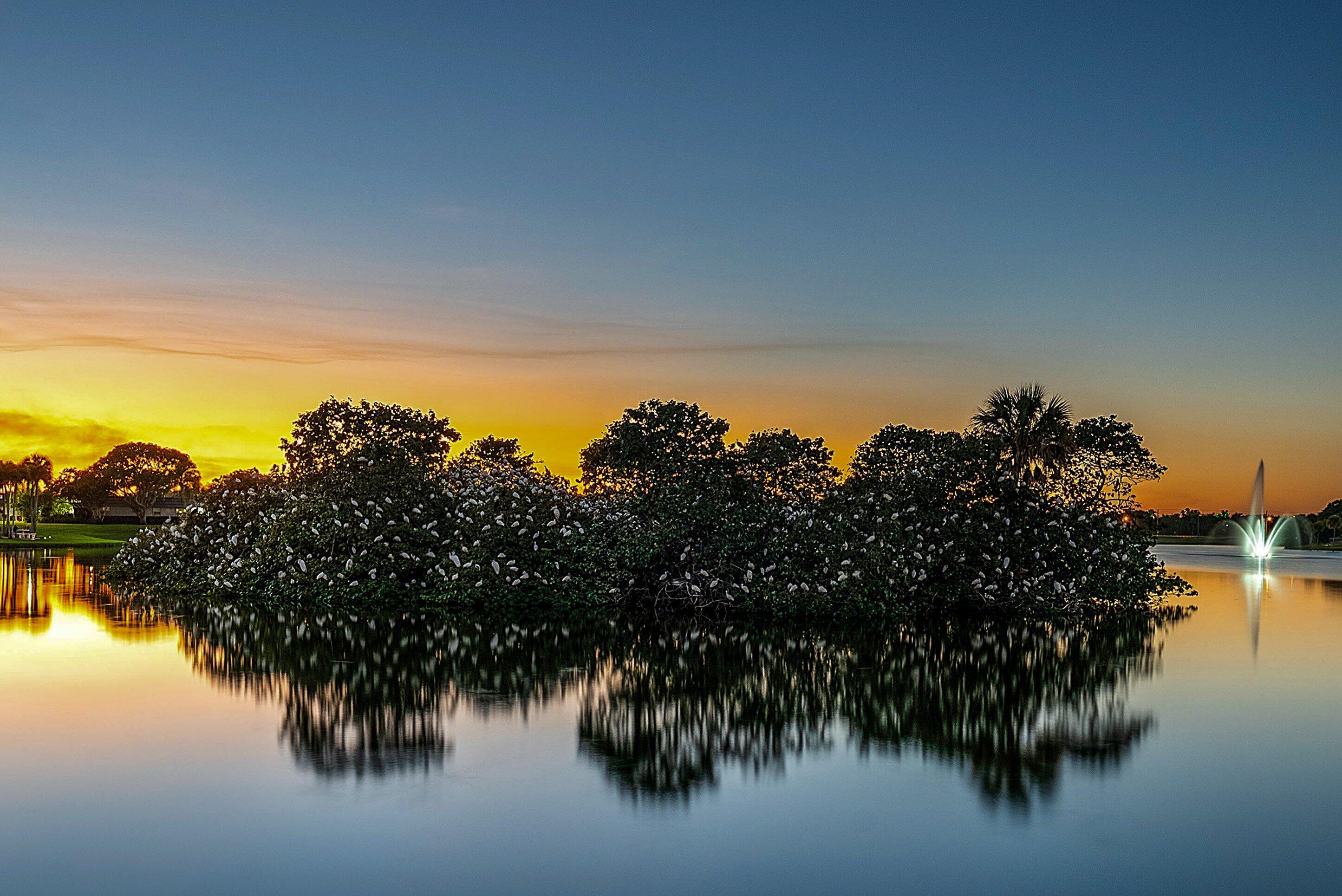 MLS #RX-11145548 image #36