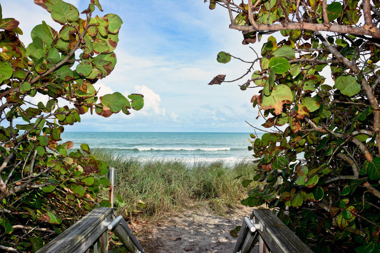 MLS #RX-11145759 image #33