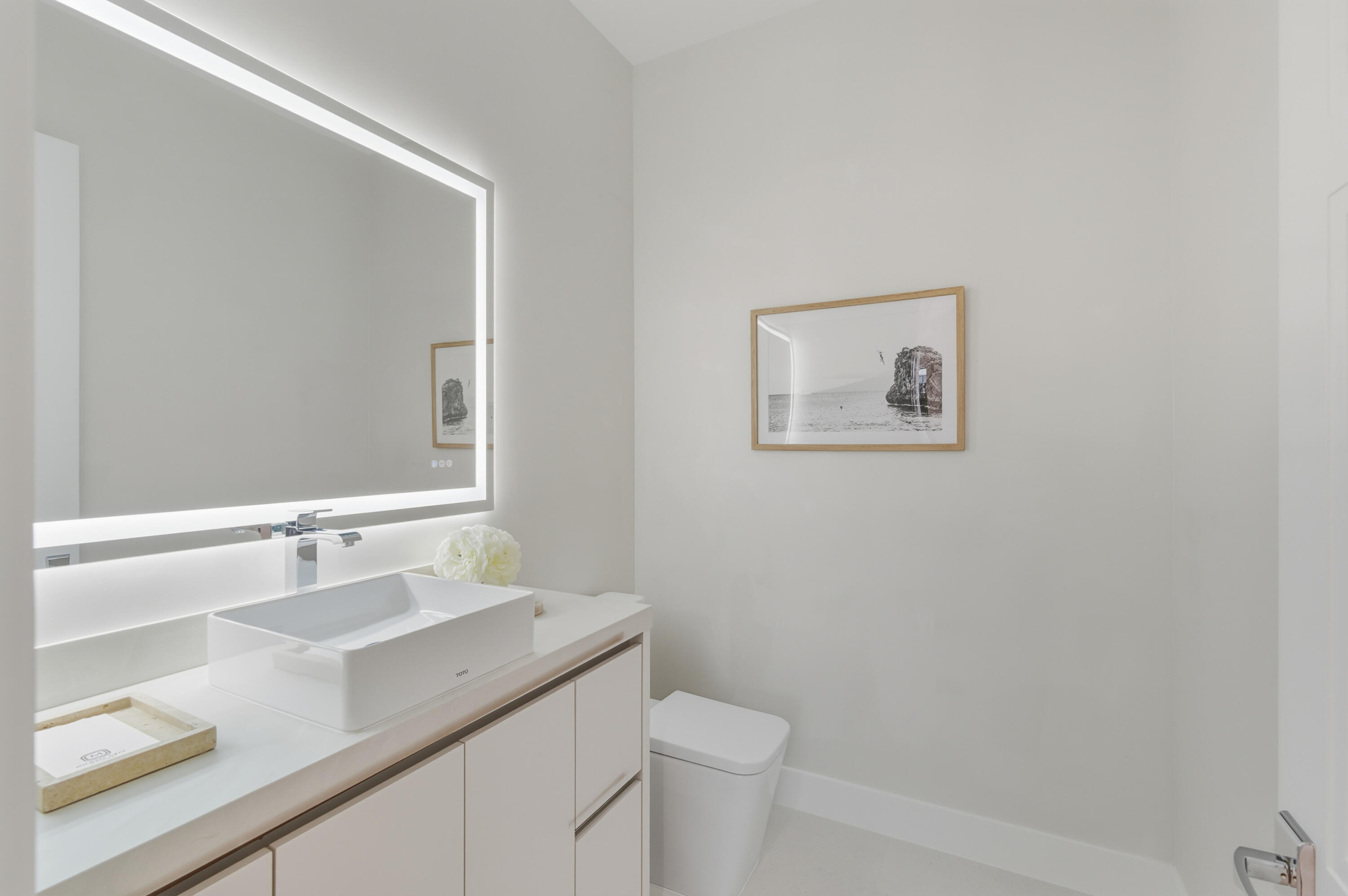 MLS #RX-11145780 image #12