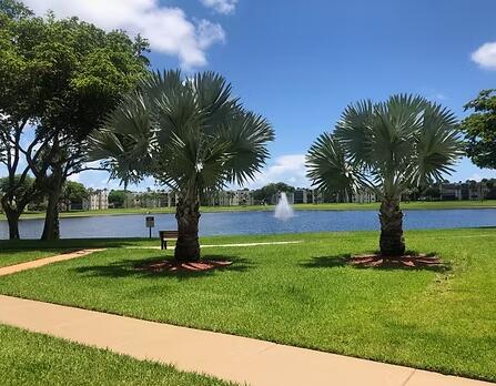 MLS #RX-11145894 image #16