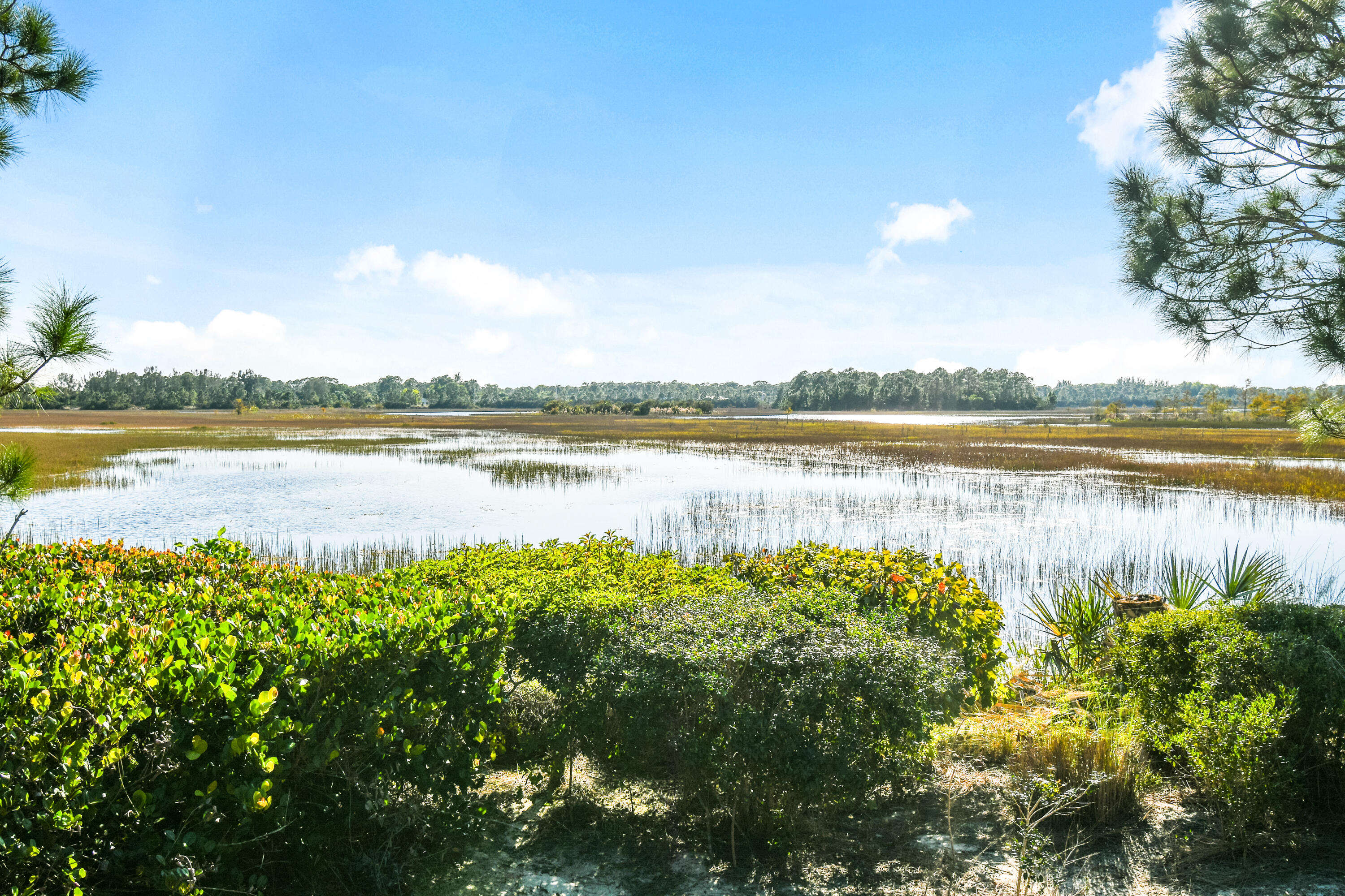 MLS #RX-11146216 image #66