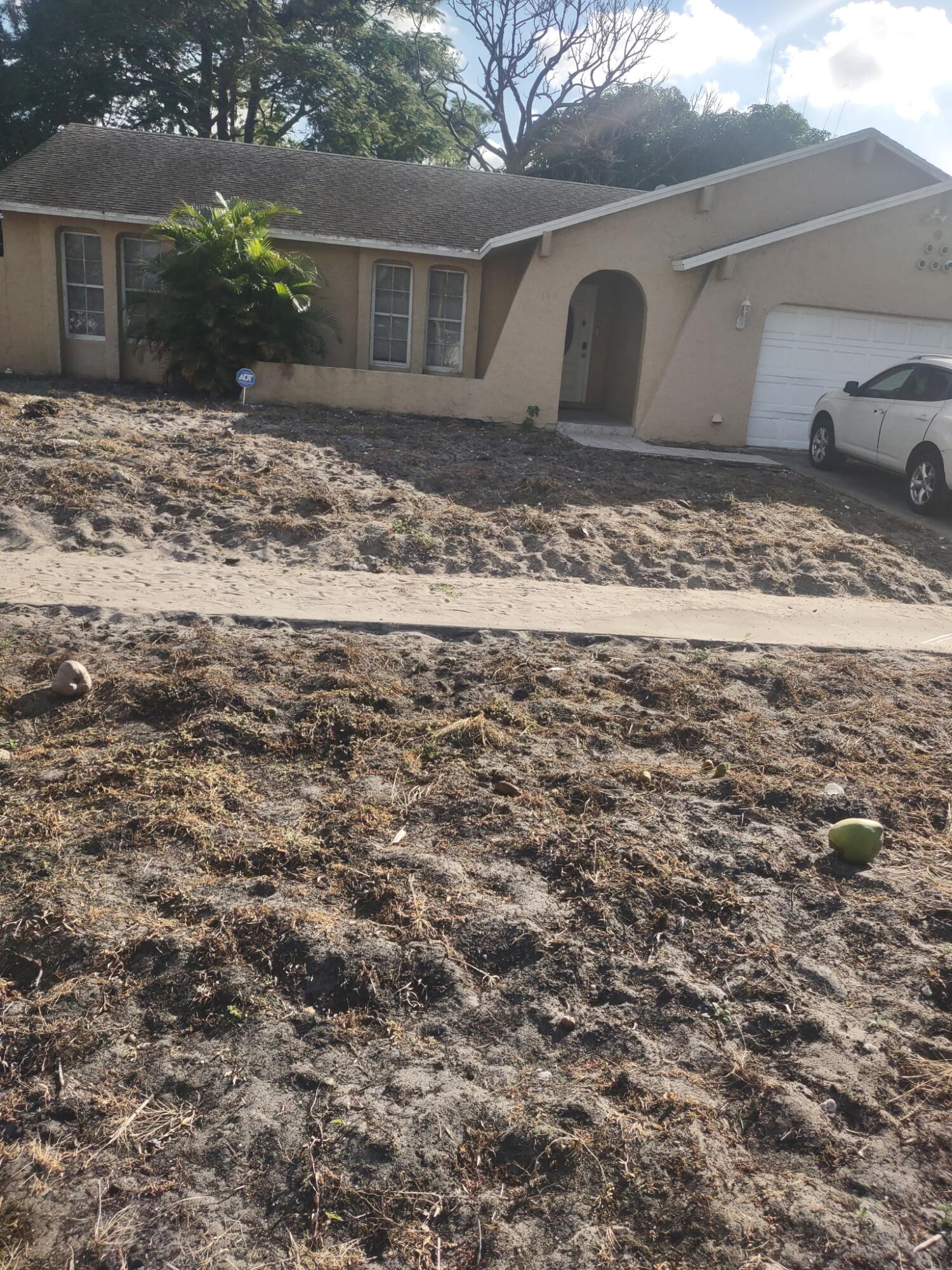 MLS #RX-11146266 image #0