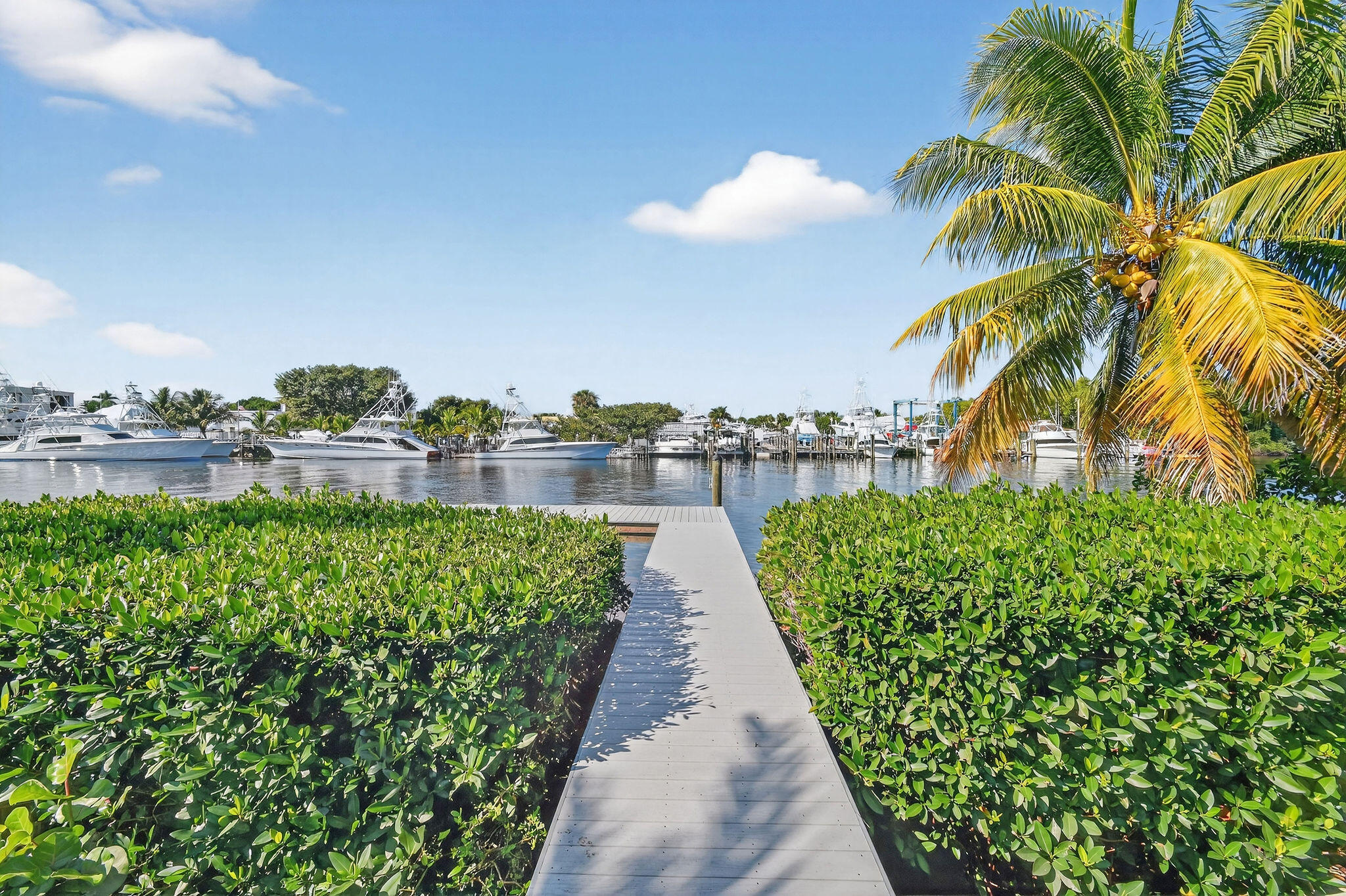 MLS #RX-11146314 image #58