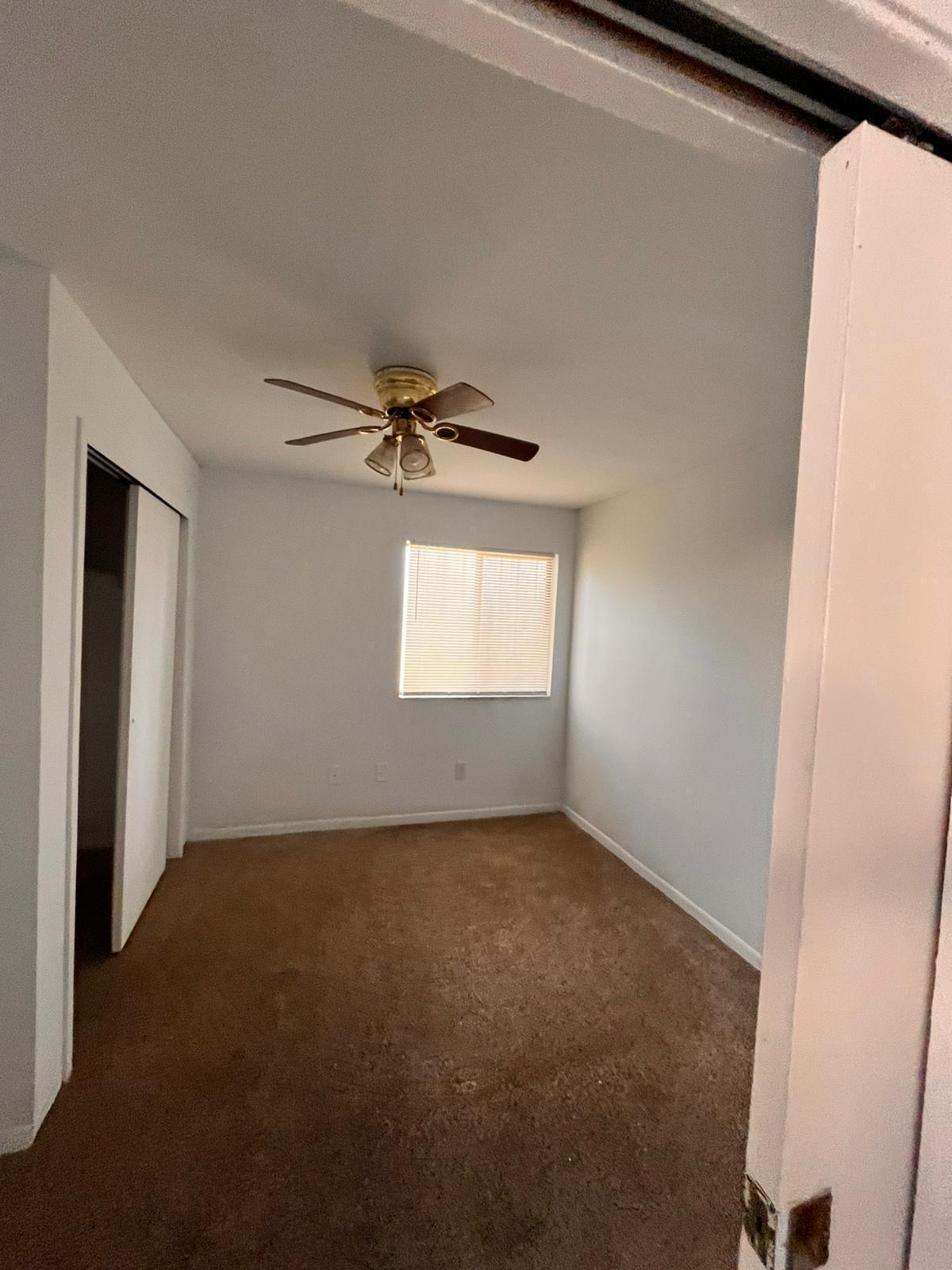 MLS #RX-11146319 image #6