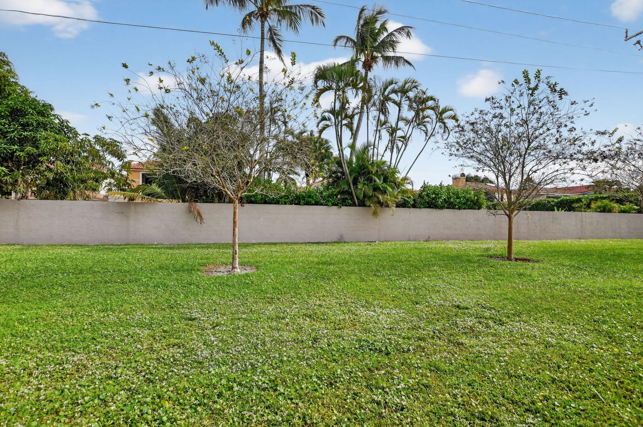 MLS #RX-11146322 image #27