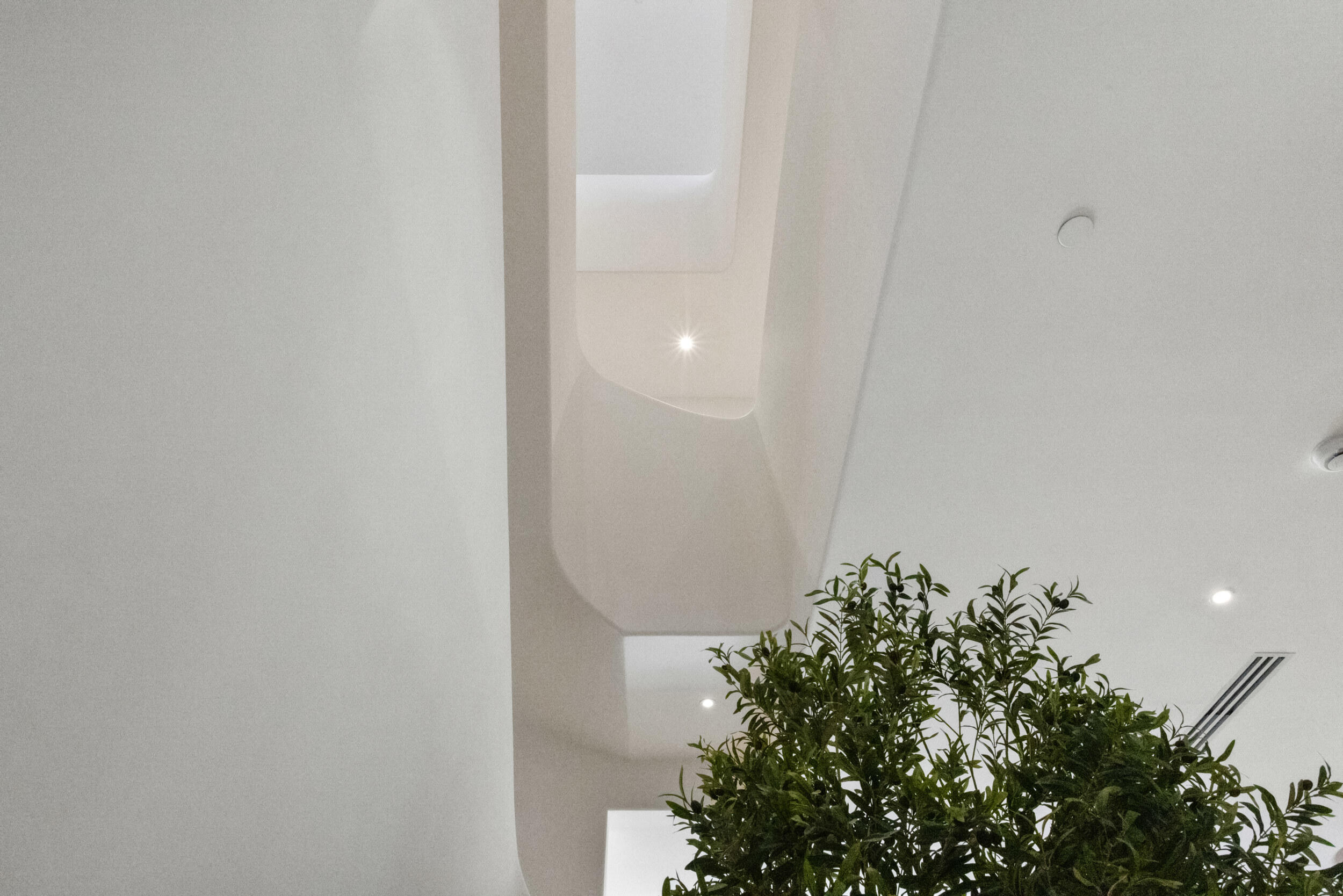 MLS #RX-11146353 image #25