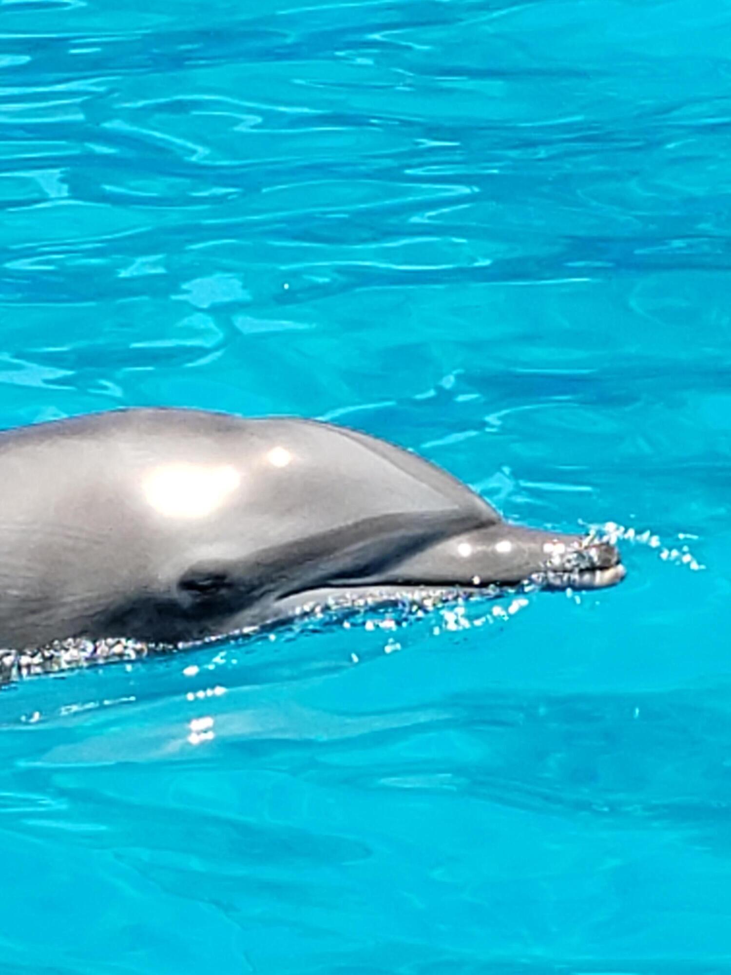 MLS #RX-10806571 image #17