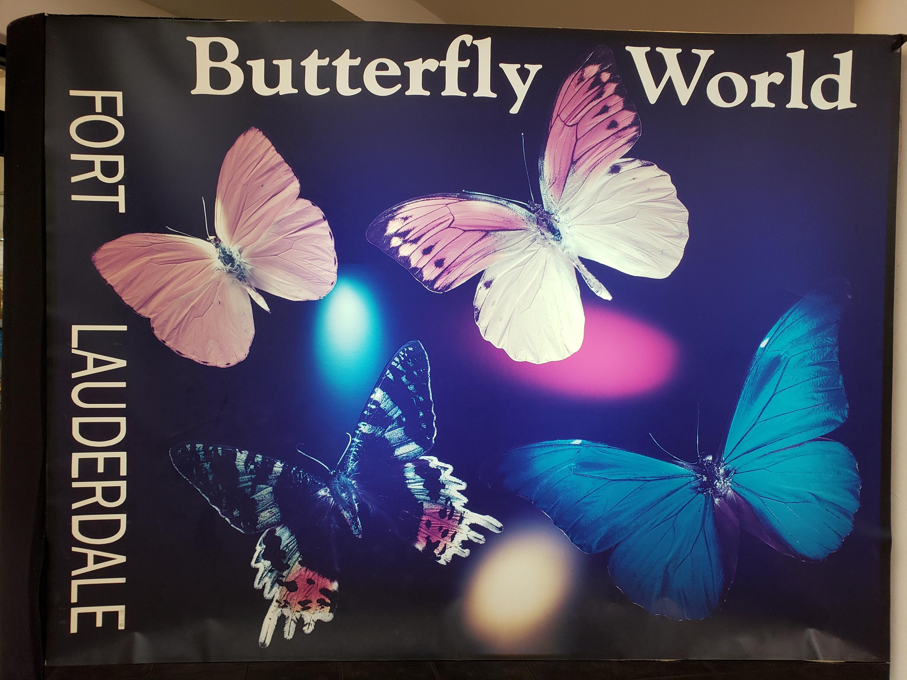 MLS #RX-10806571 image #18