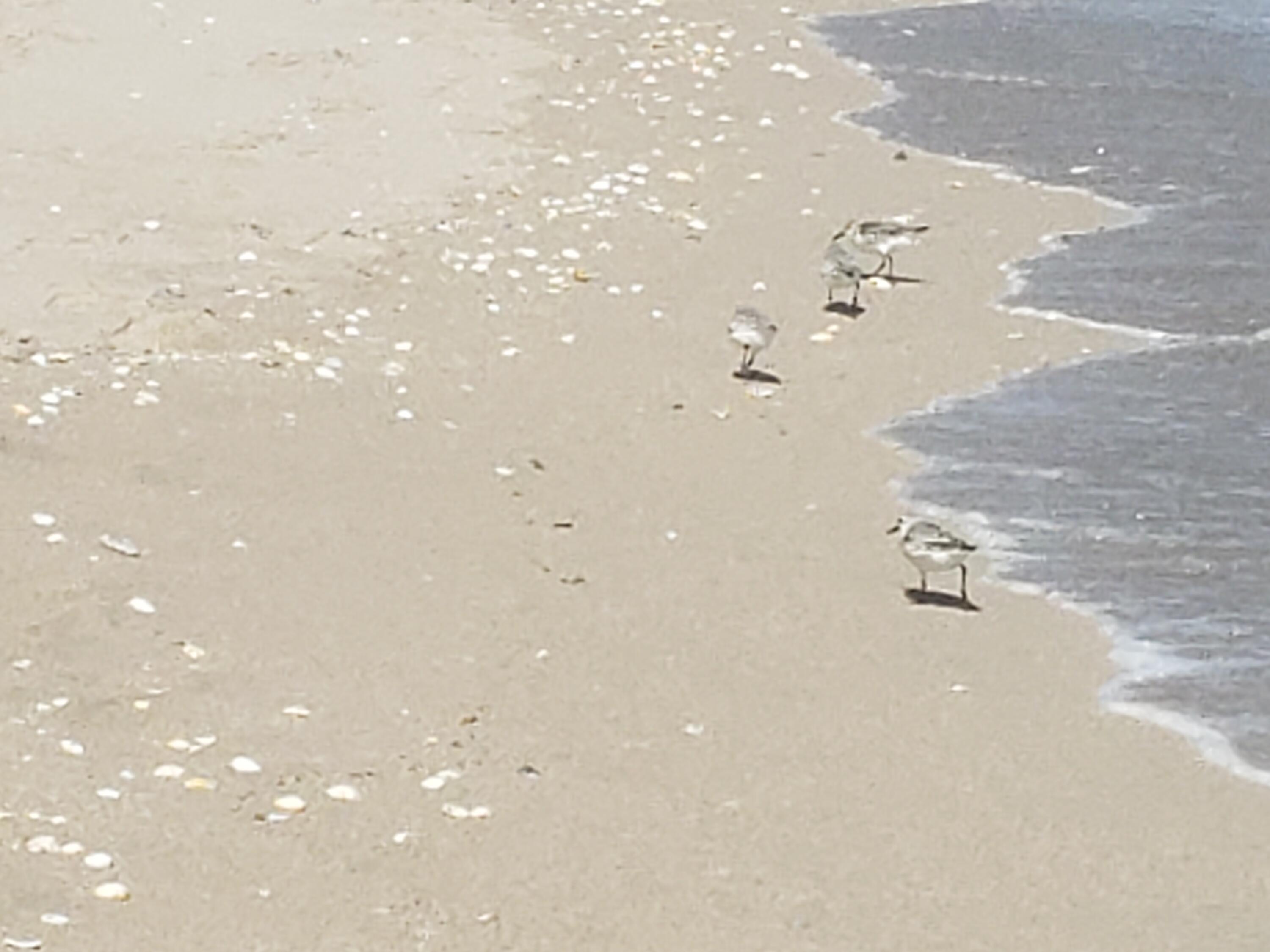 MLS #RX-10806571 image #19