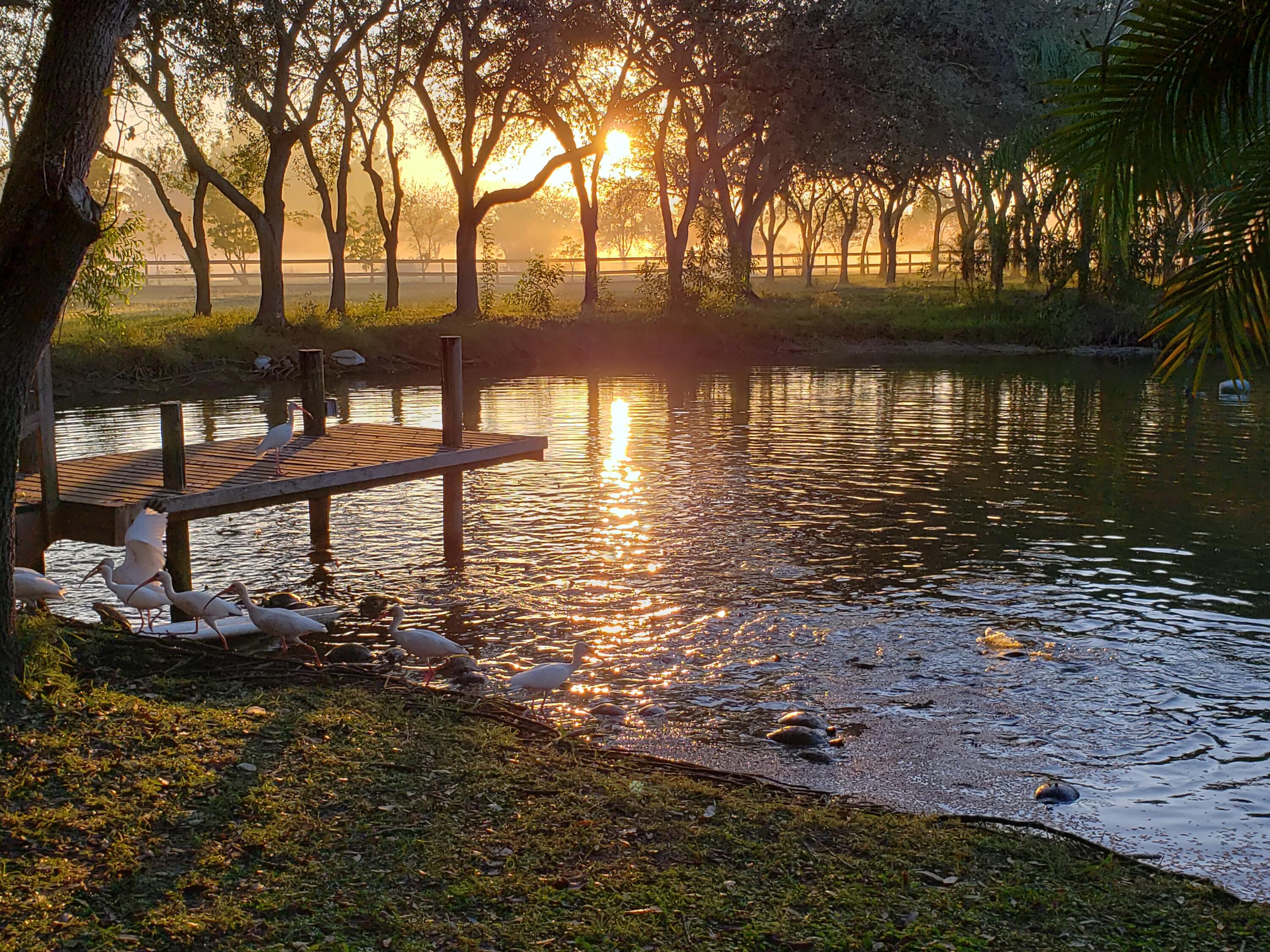 MLS #RX-10806571 image #25