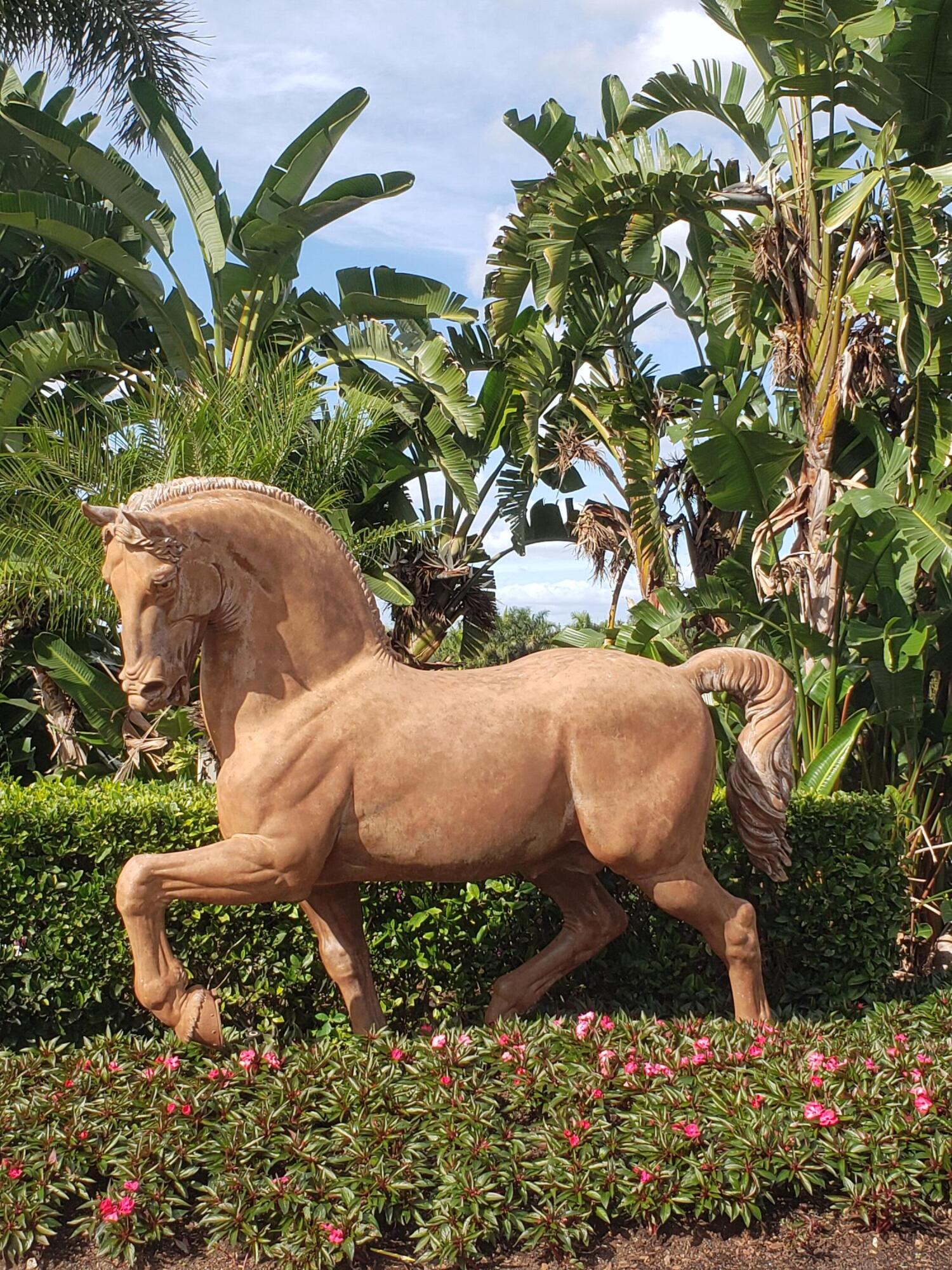 MLS #RX-10806571 image #28