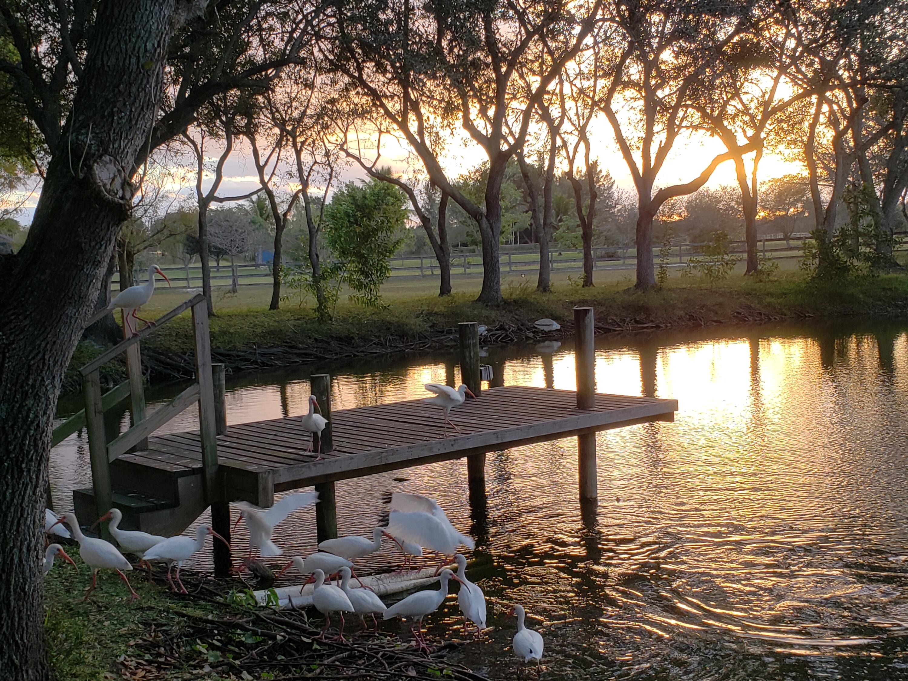 MLS #RX-10806571 image #29