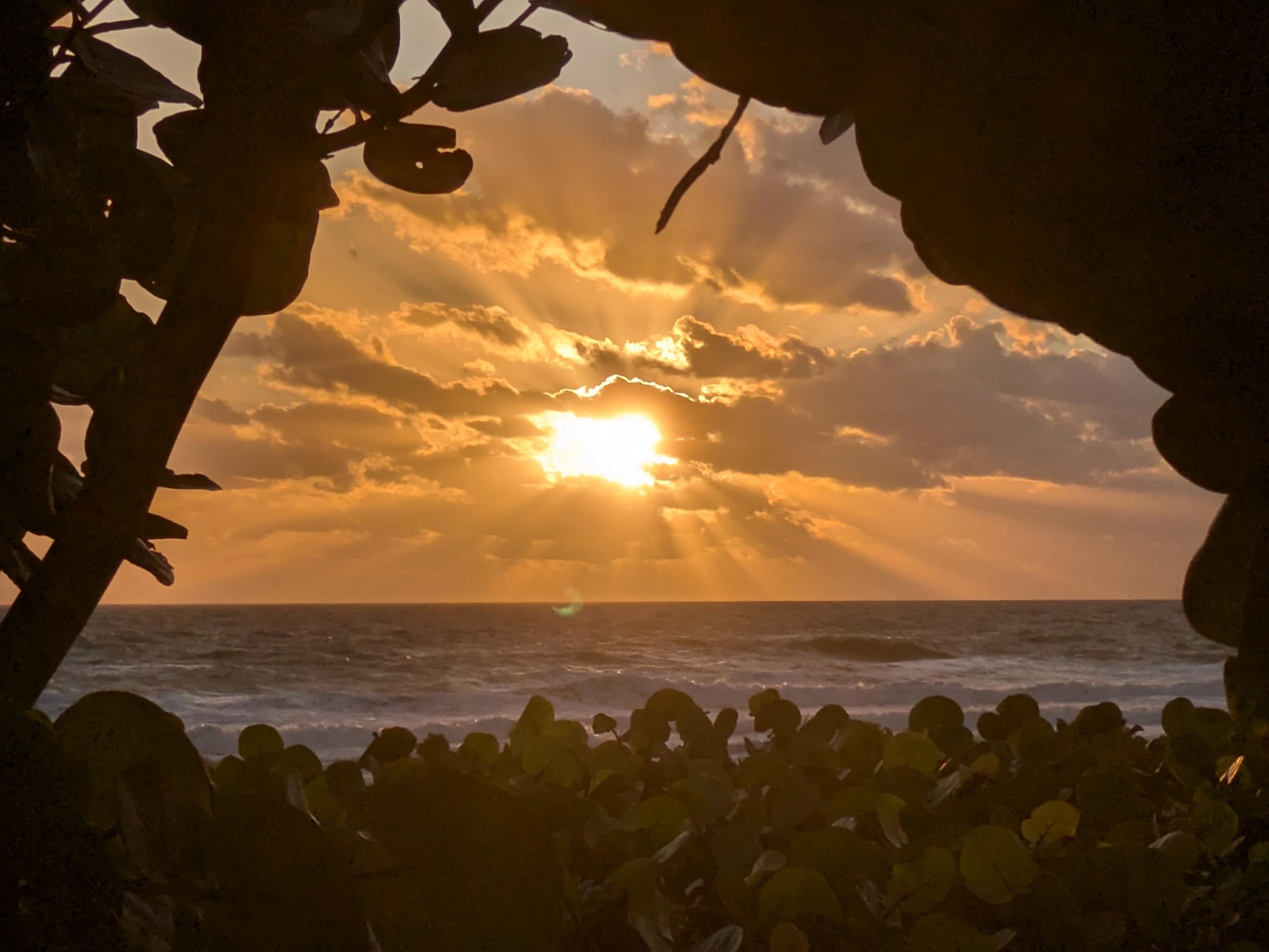 MLS #RX-10806571 image #32